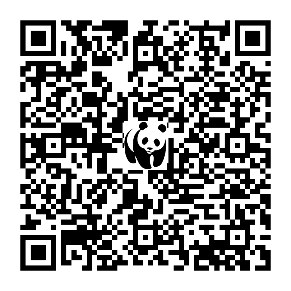 Scan deze QR-code om te doneren (vernieuw de pagina als je geen QR-code ziet)