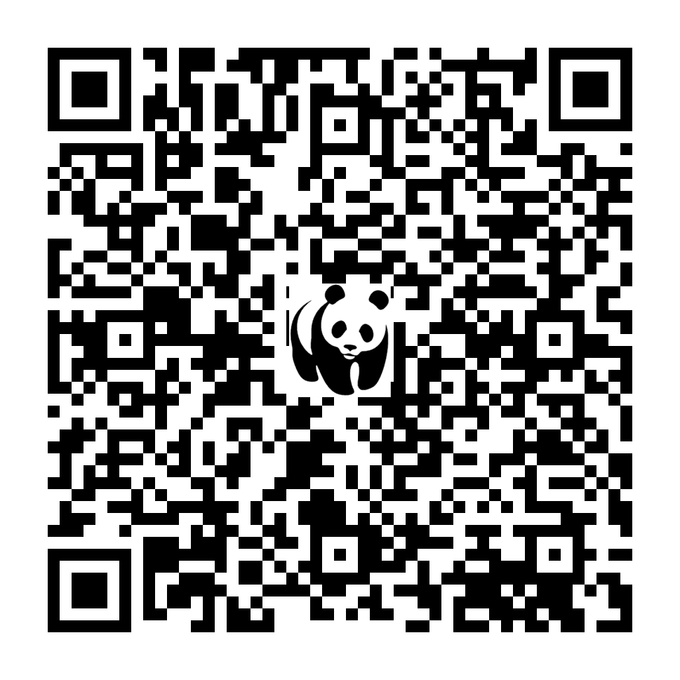 Scan deze QR-code om te doneren (vernieuw de pagina als je geen QR-code ziet)