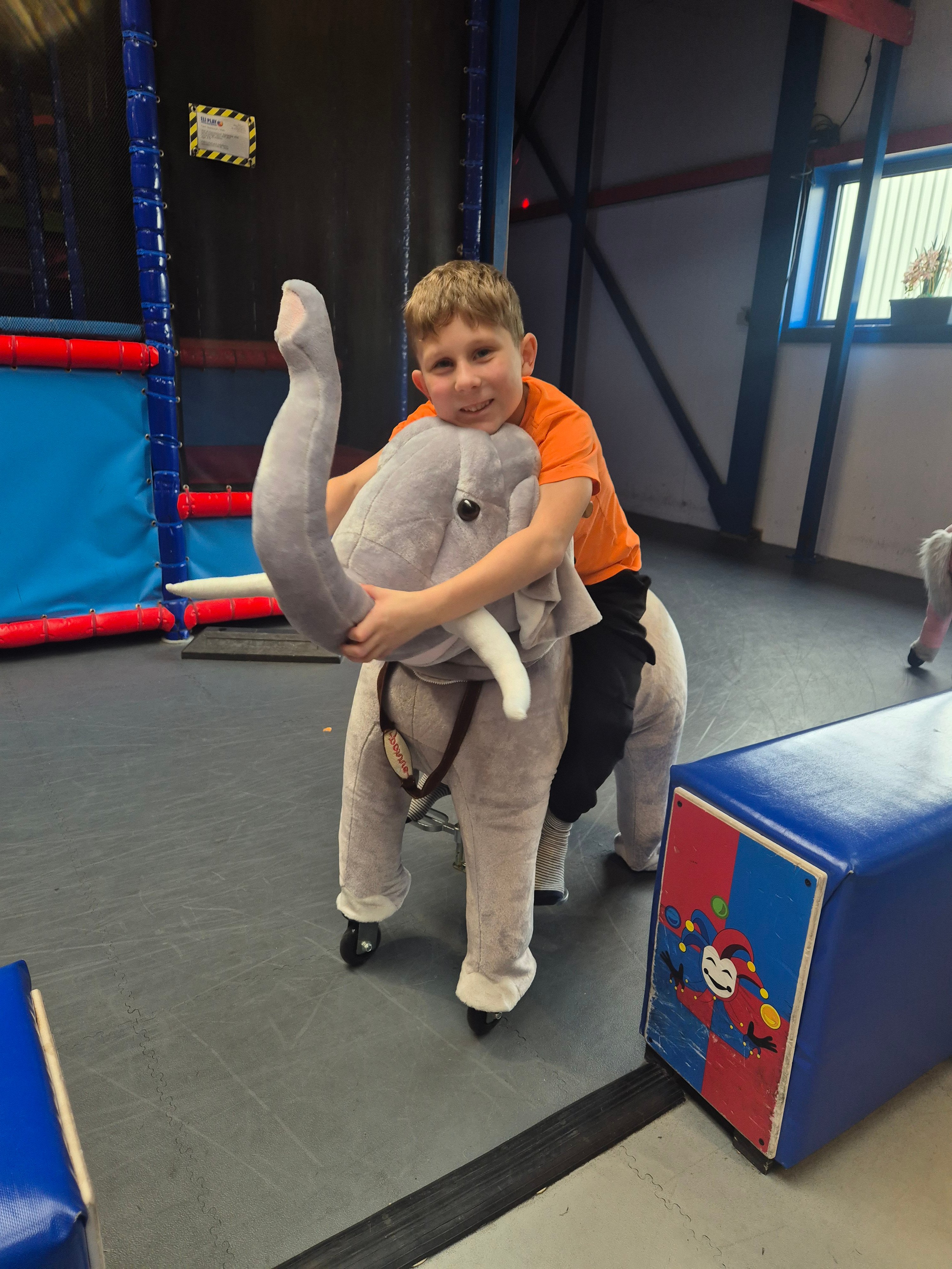 Liefde voor de olifant