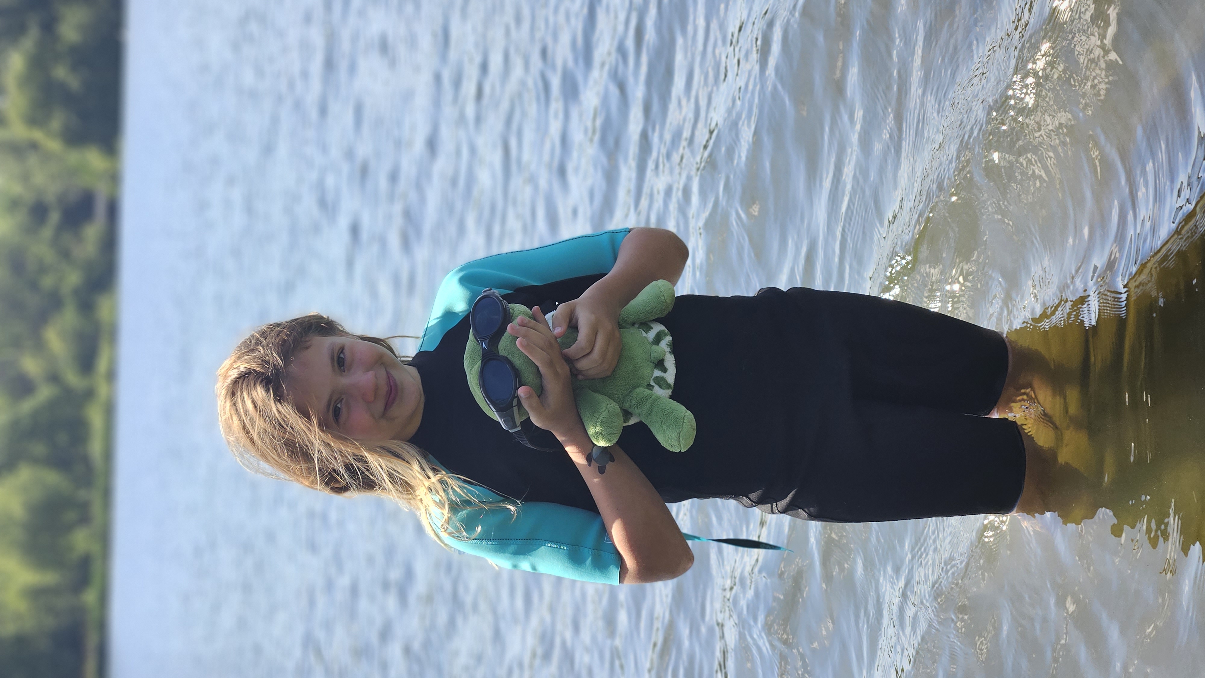 Sportieve schildpadden