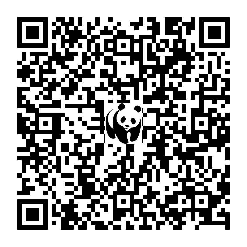 Scan deze QR-code om te doneren (vernieuw de pagina als je geen QR-code ziet)
