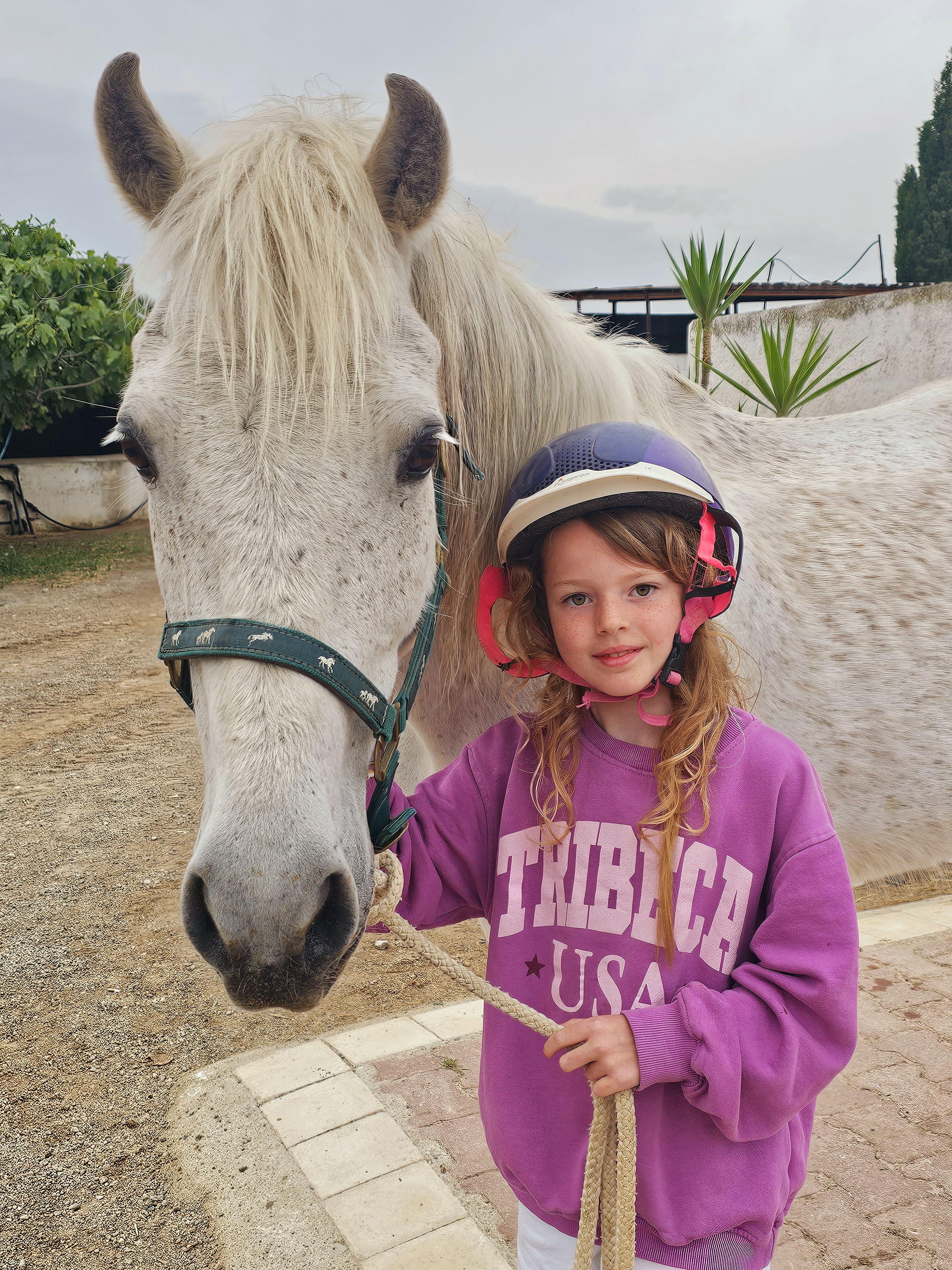 Red de babyzeeschildpad