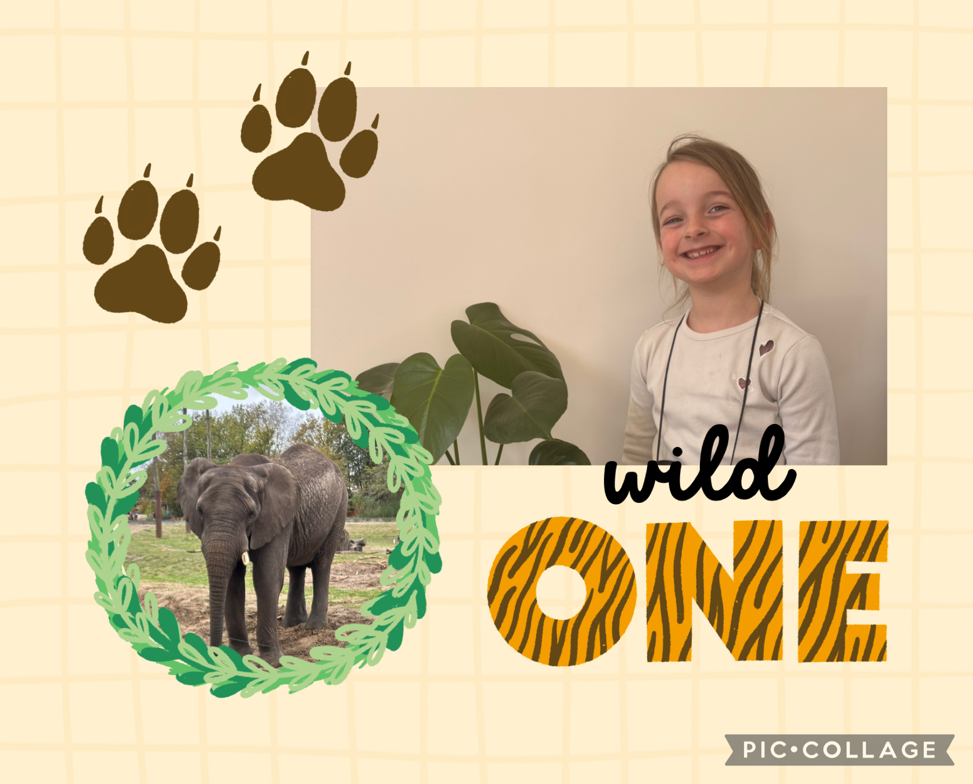 De olifantenverzorger