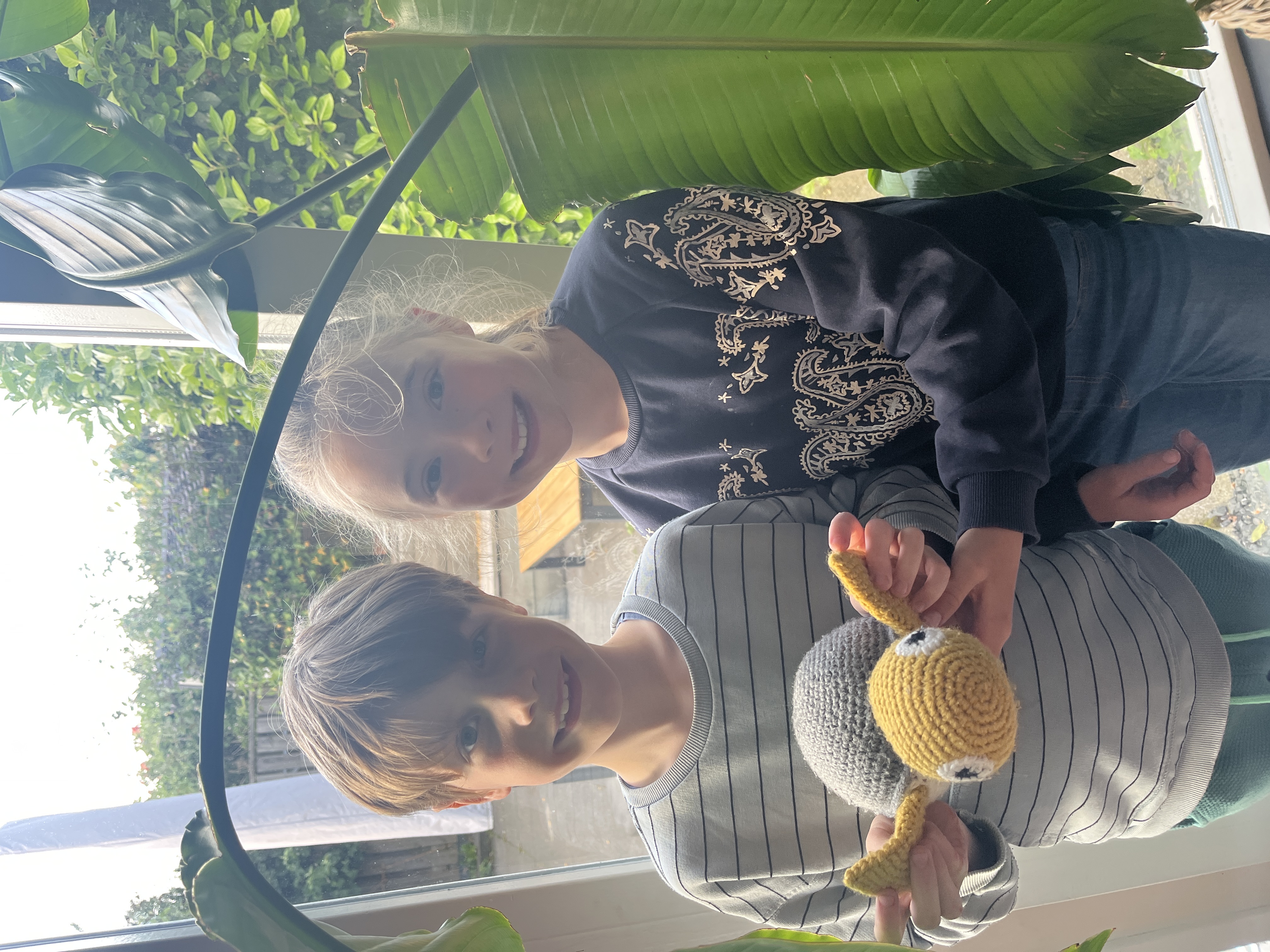 De Zeeschildpadden Quiz