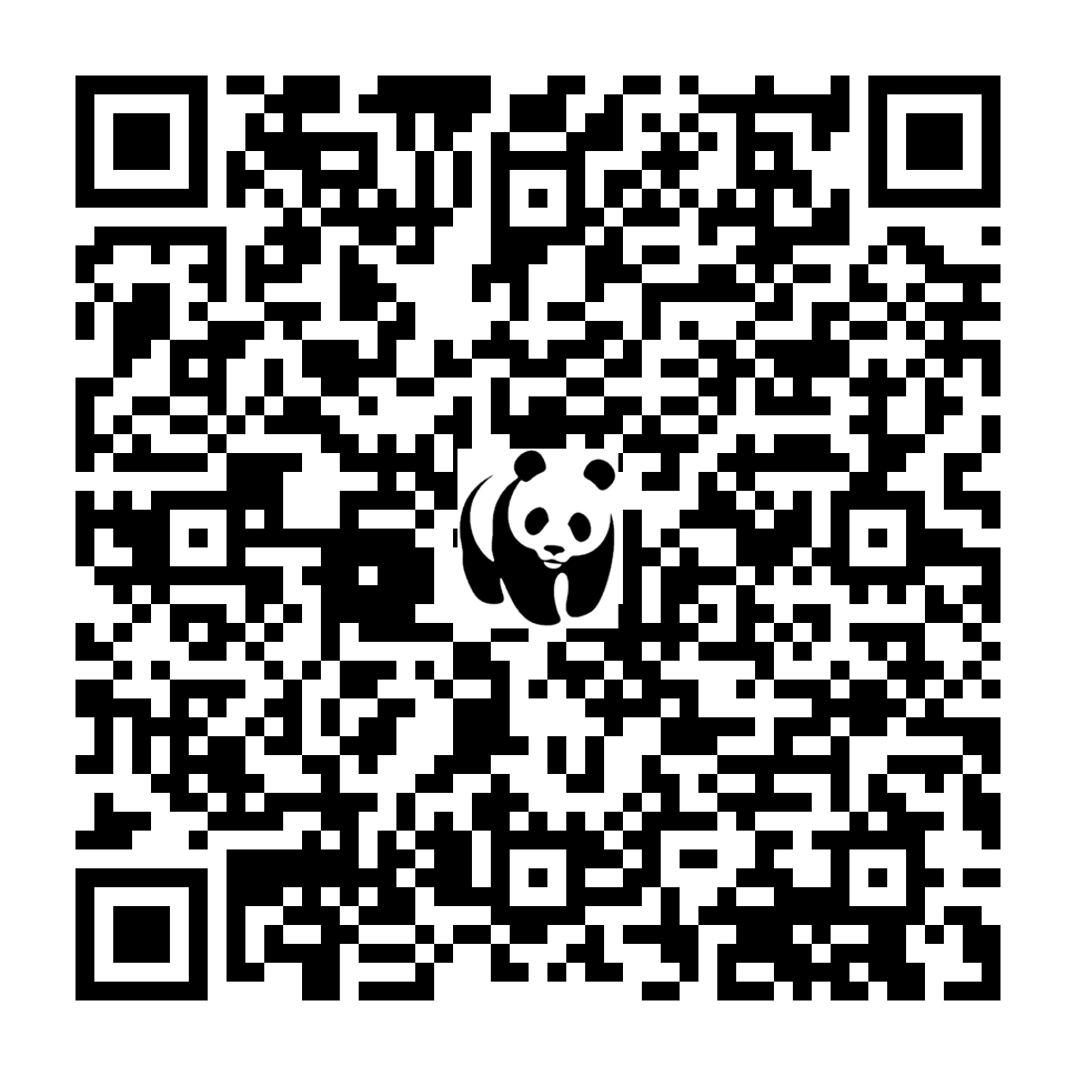 Scan deze QR-code om te doneren (vernieuw de pagina als je geen QR-code ziet)