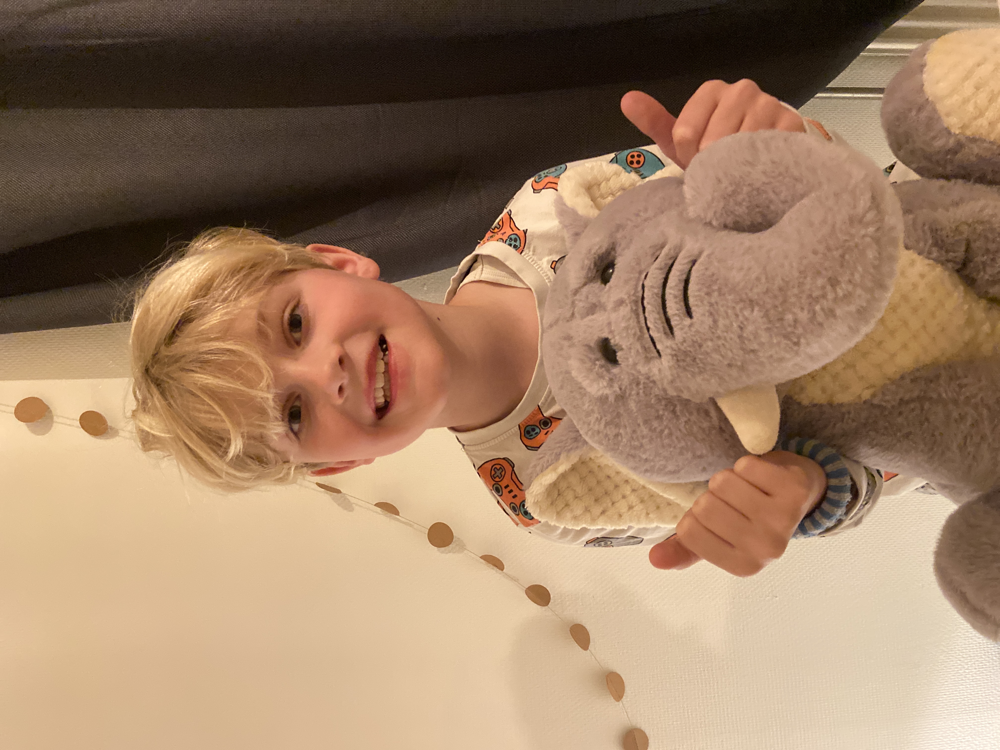 Ranger Joes helpt olifant