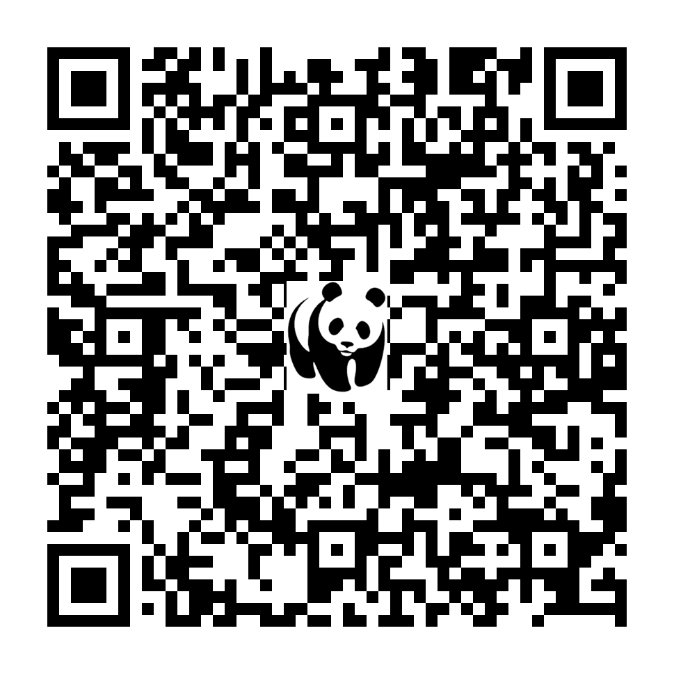 Scan deze QR-code om te doneren (vernieuw de pagina als je geen QR-code ziet)