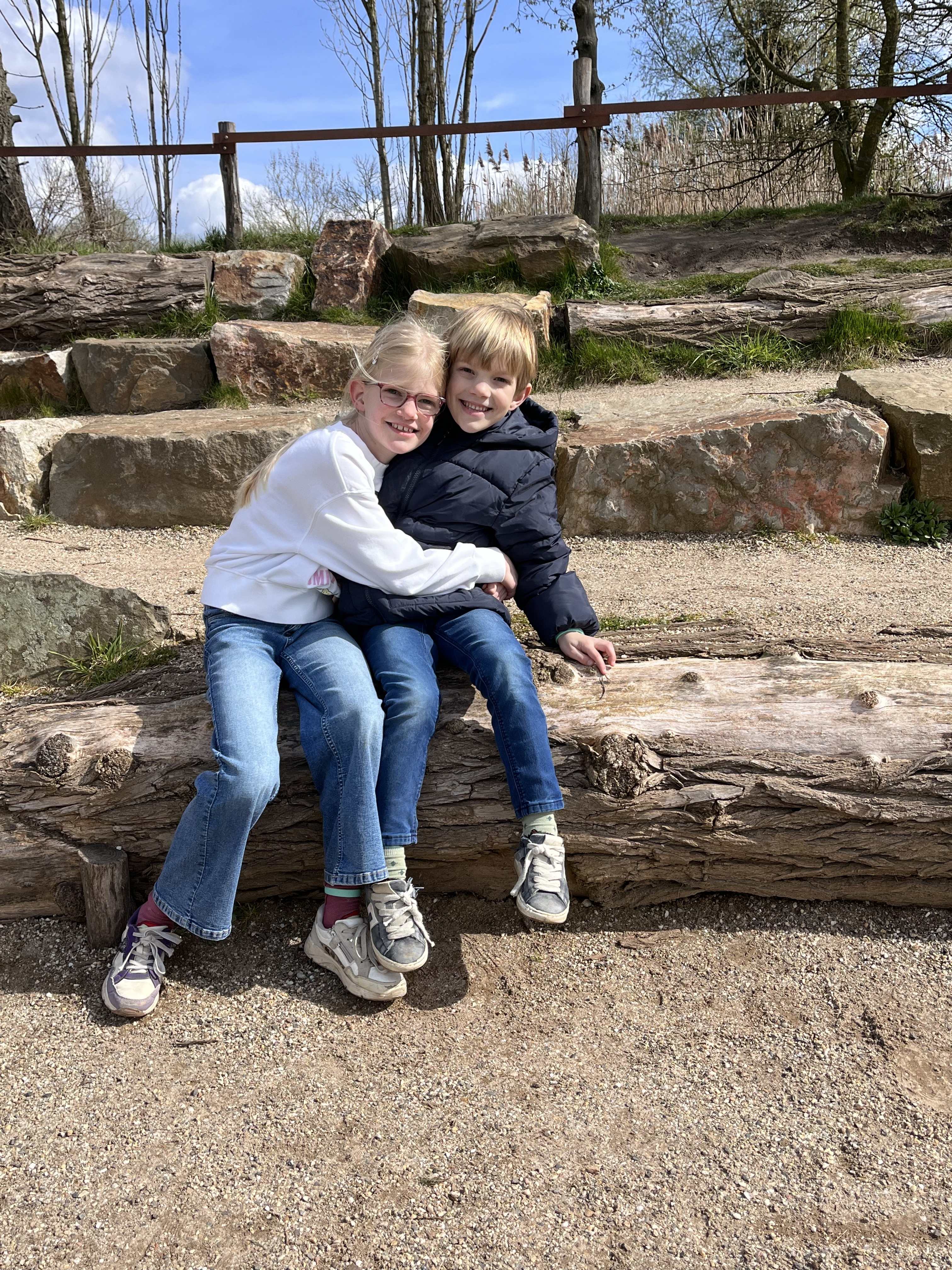 De redding van de olifant