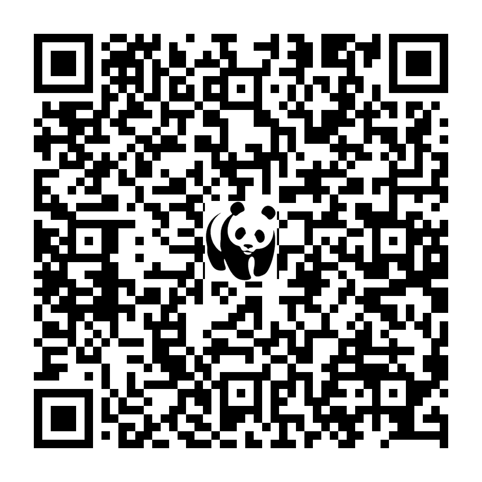 Scan deze QR-code om te doneren (vernieuw de pagina als je geen QR-code ziet)