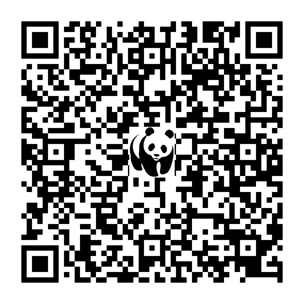 Scan deze QR-code om te doneren (vernieuw de pagina als je geen QR-code ziet)