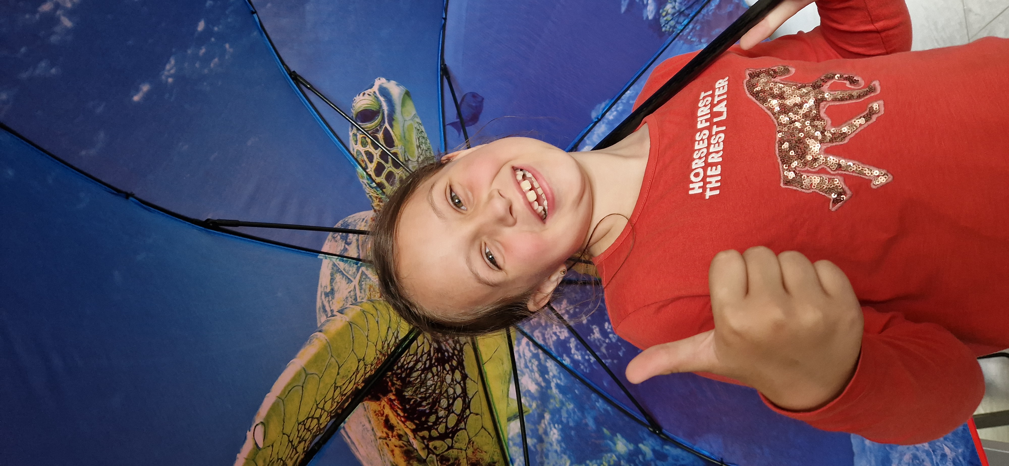 Red de babyschildpadden