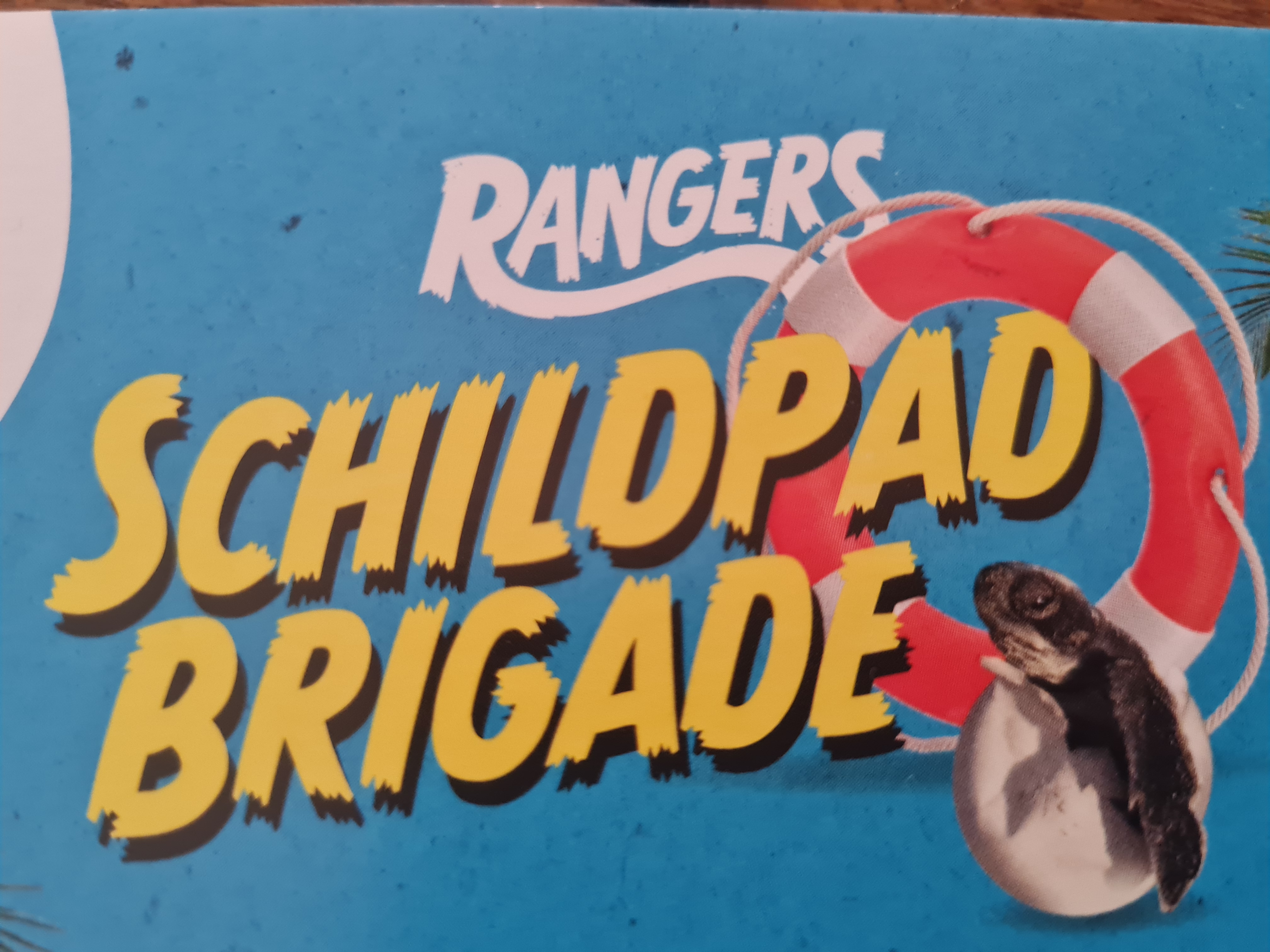 Help zeeschildpadden