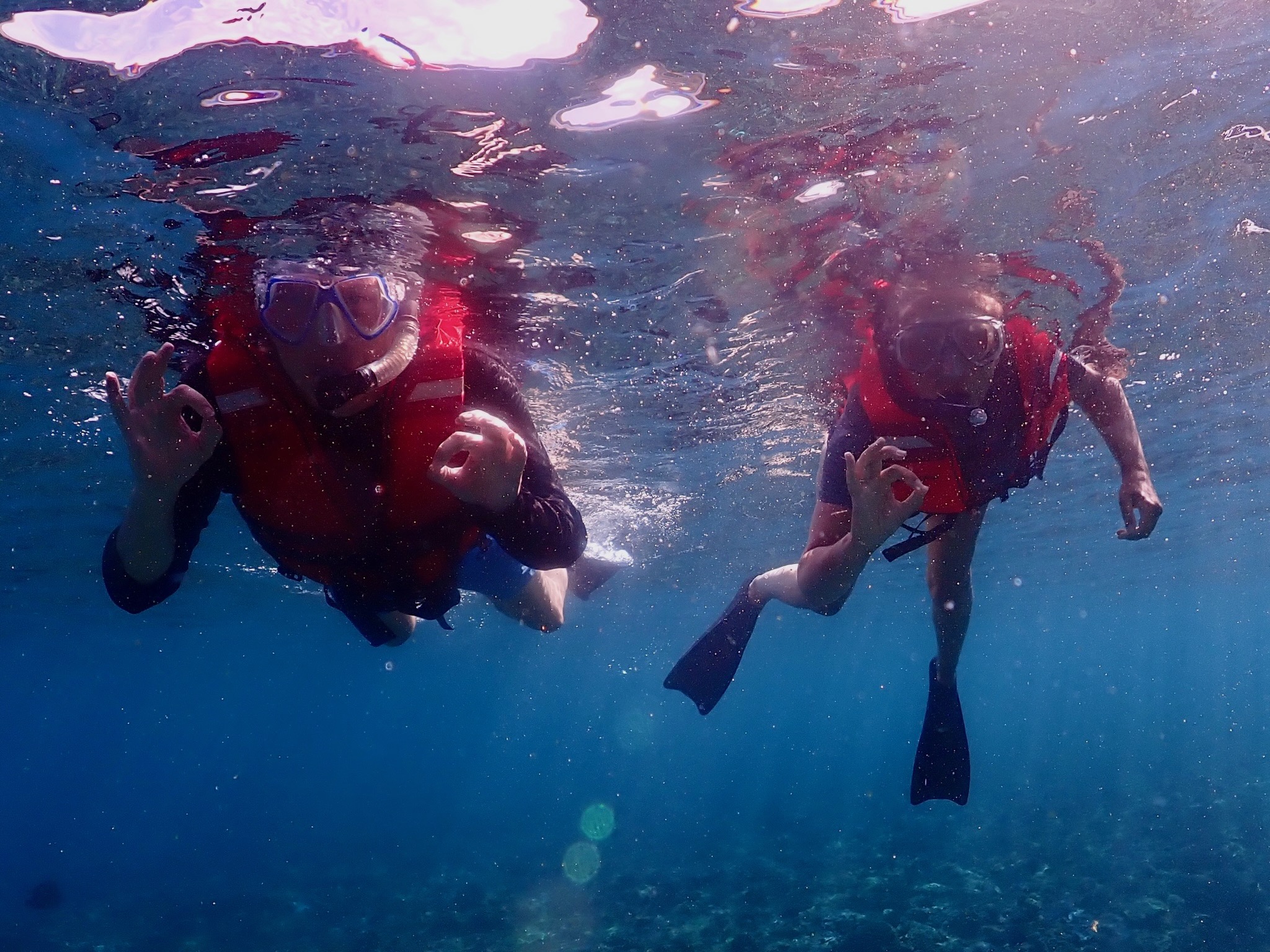 Schildpaddenactie WWF