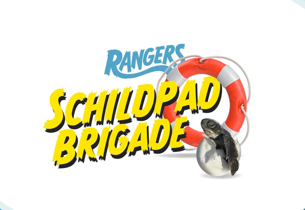 De schildpadstrijders