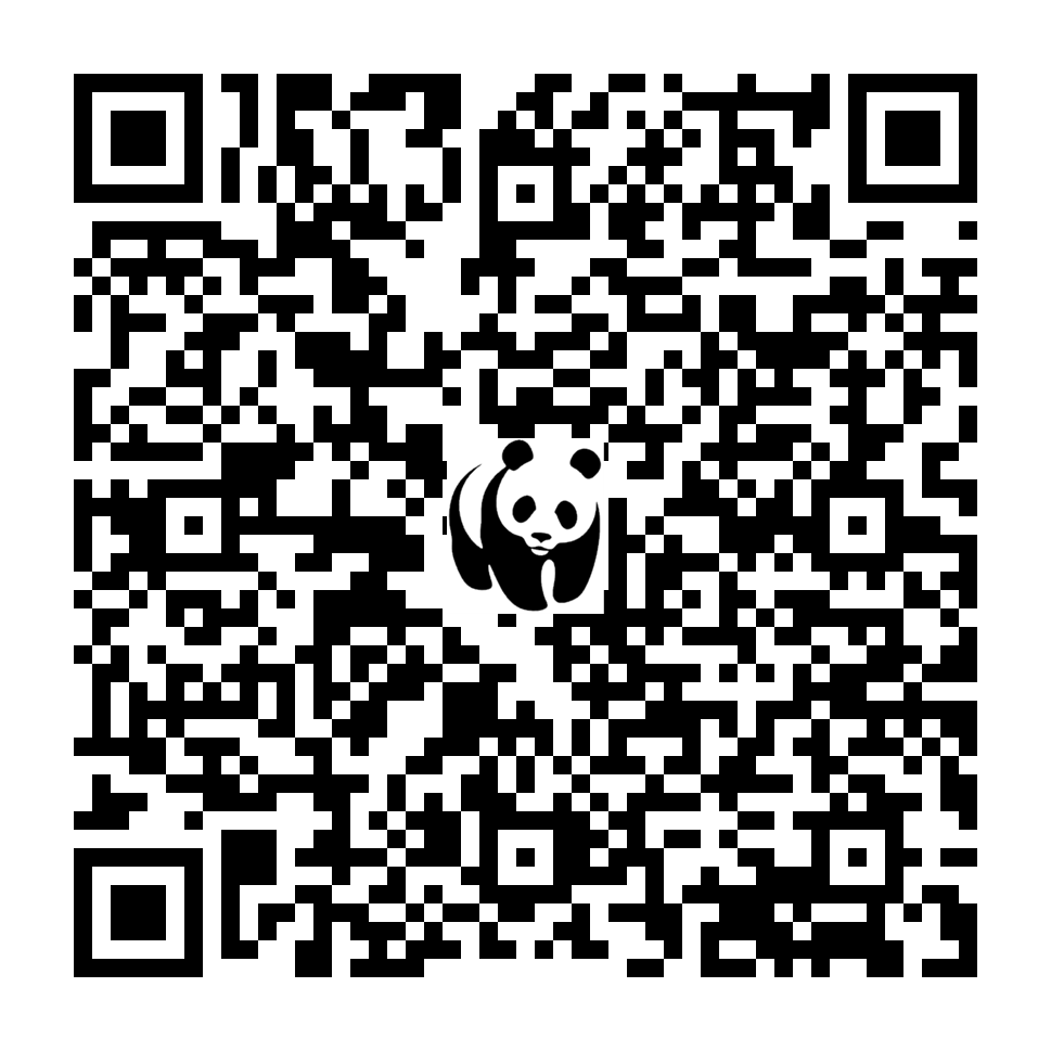 Scan deze QR-code om te doneren (vernieuw de pagina als je geen QR-code ziet)