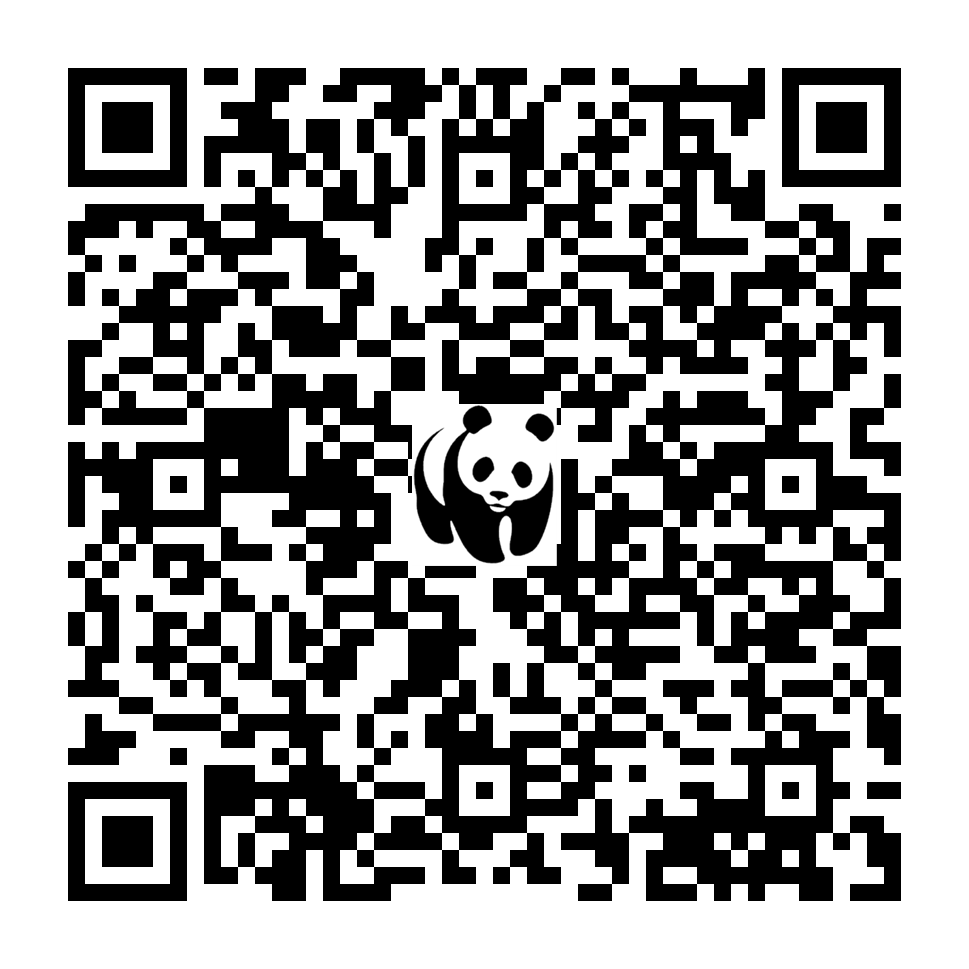 Scan deze QR-code om te doneren (vernieuw de pagina als je geen QR-code ziet)