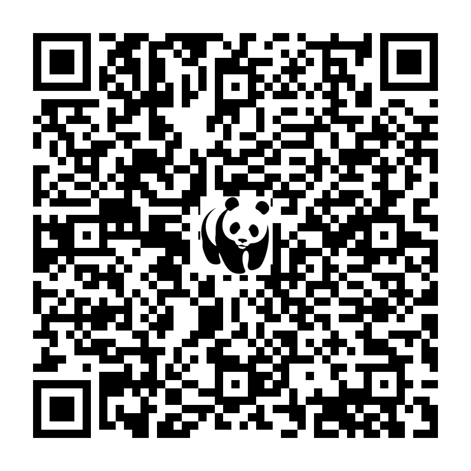 Scan deze QR-code om te doneren (vernieuw de pagina als je geen QR-code ziet)