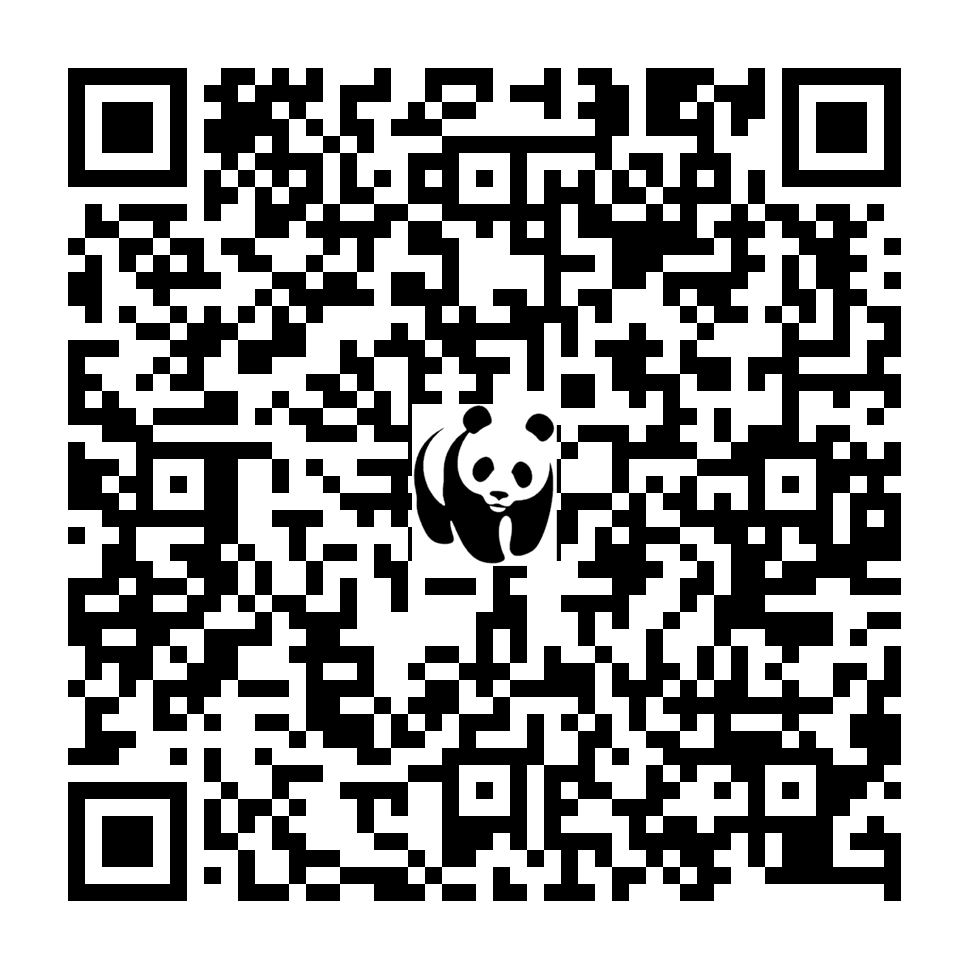 Scan deze QR-code om te doneren (vernieuw de pagina als je geen QR-code ziet)