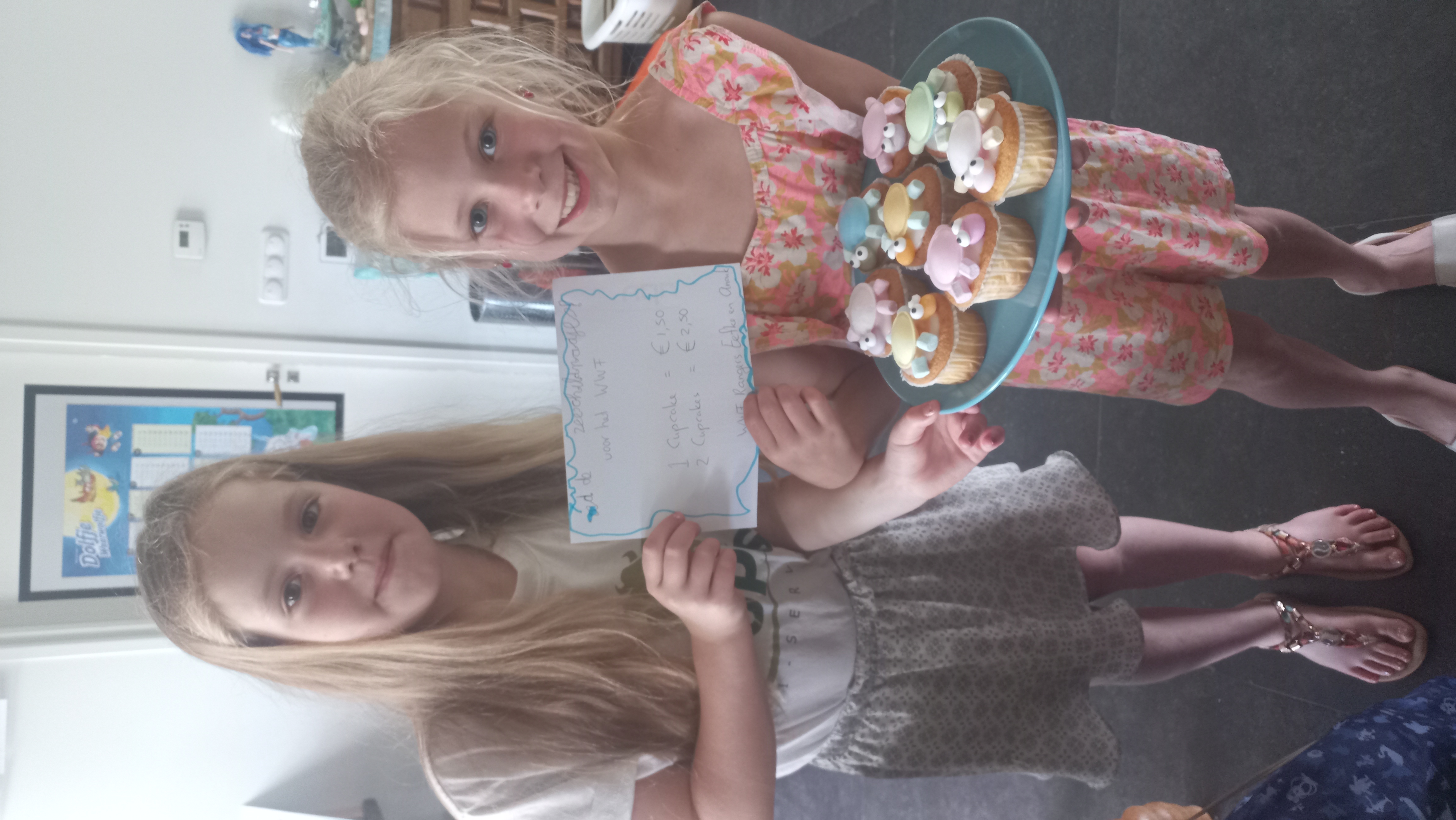 Schildpadden cupcakegirls