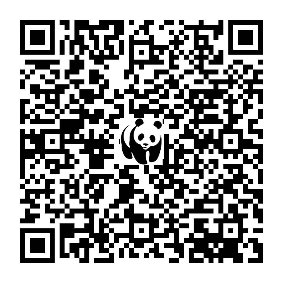 Scan deze QR-code om te doneren (vernieuw de pagina als je geen QR-code ziet)