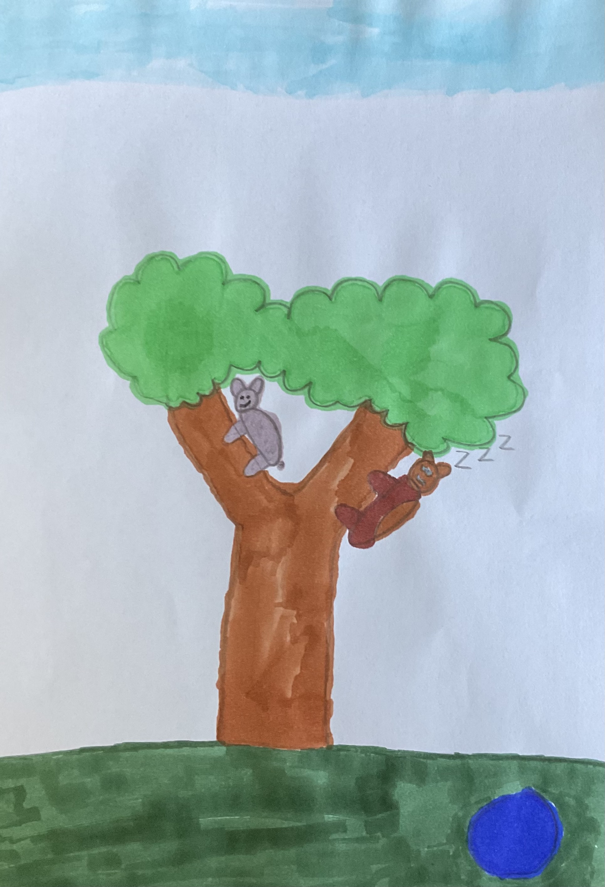 Kaarten voor de schildpad