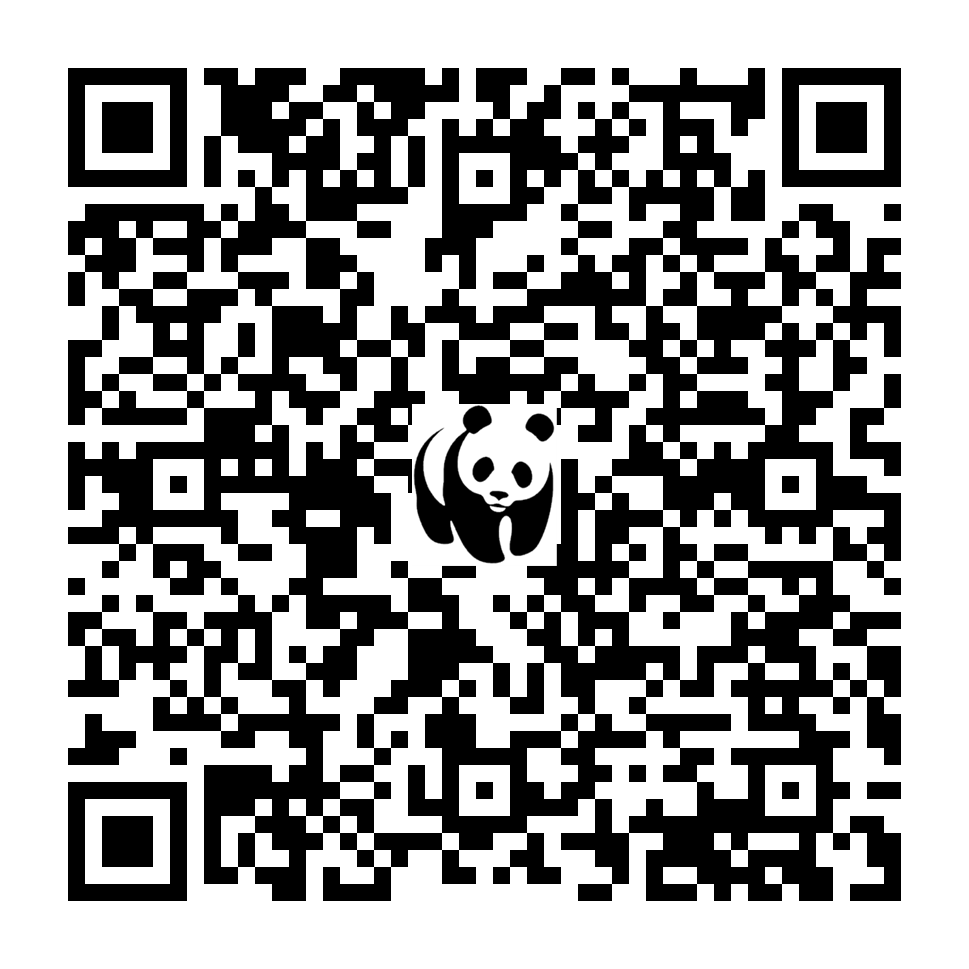 Scan deze QR-code om te doneren (vernieuw de pagina als je geen QR-code ziet)