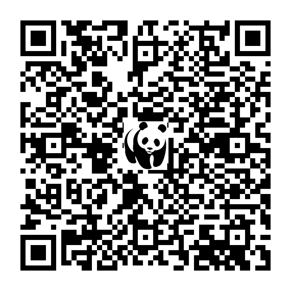 Scan deze QR-code om te doneren (vernieuw de pagina als je geen QR-code ziet)
