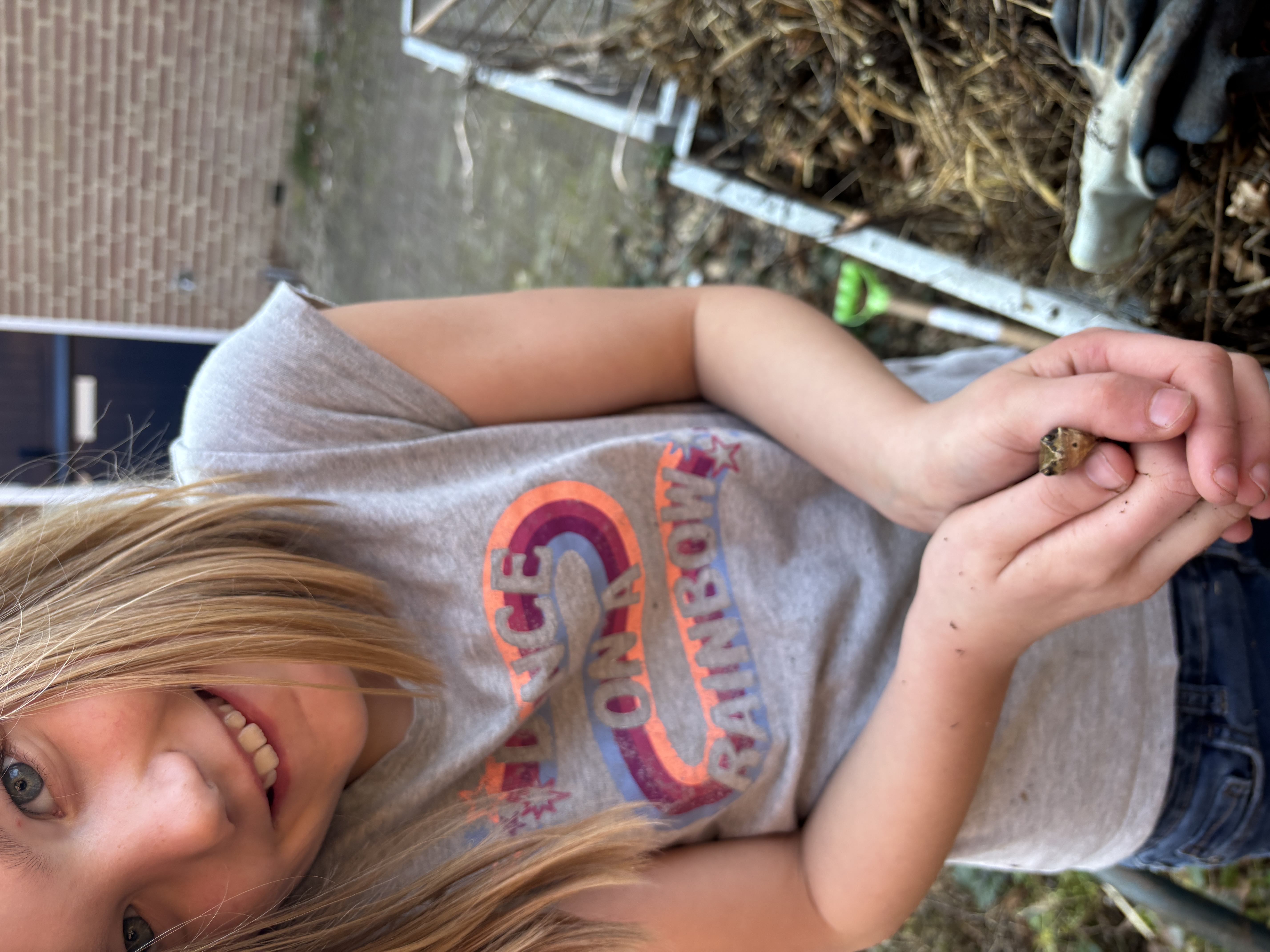 Vecht voor de olifant