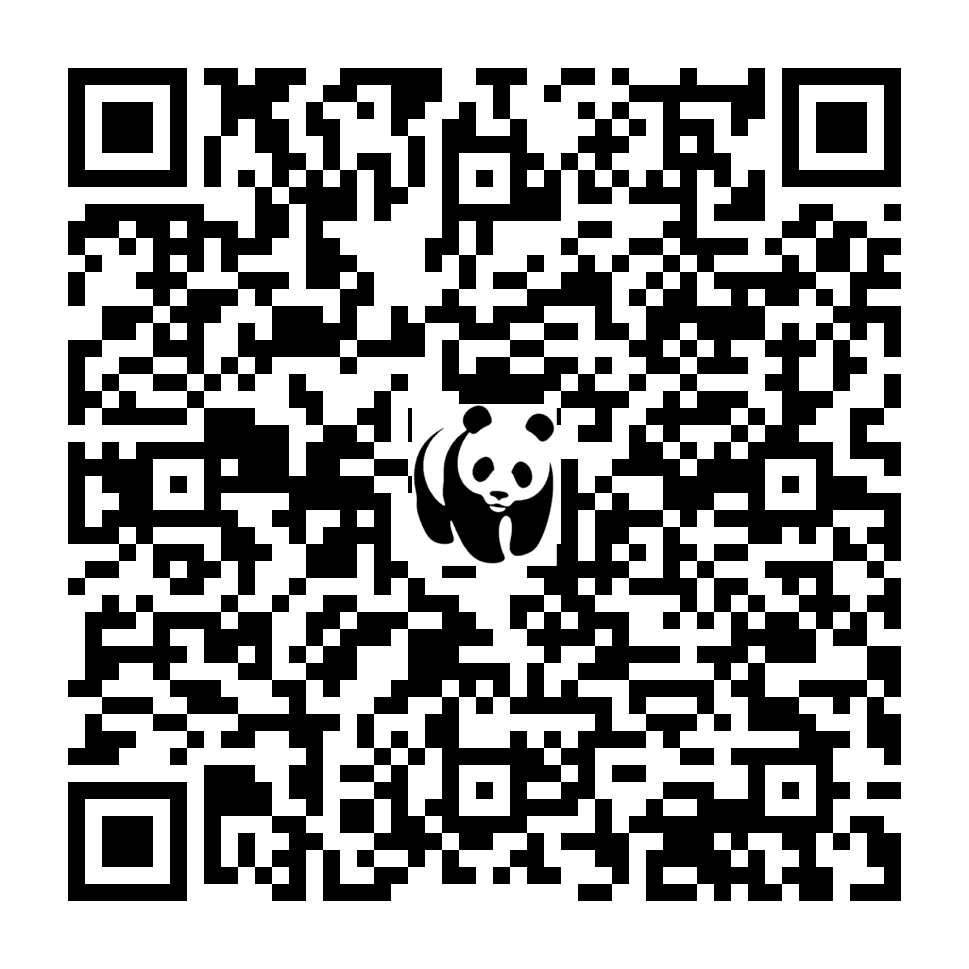 Scan deze QR-code om te doneren (vernieuw de pagina als je geen QR-code ziet)