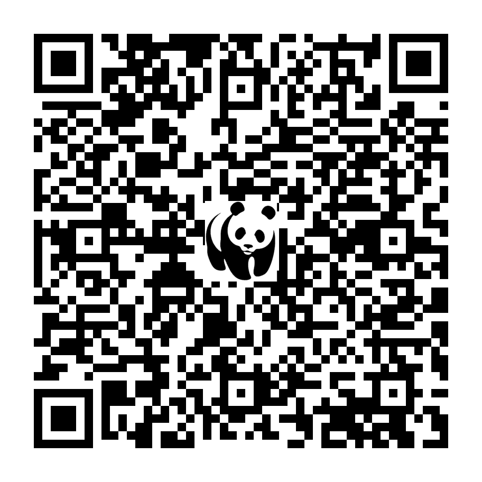 Scan deze QR-code om te doneren (vernieuw de pagina als je geen QR-code ziet)