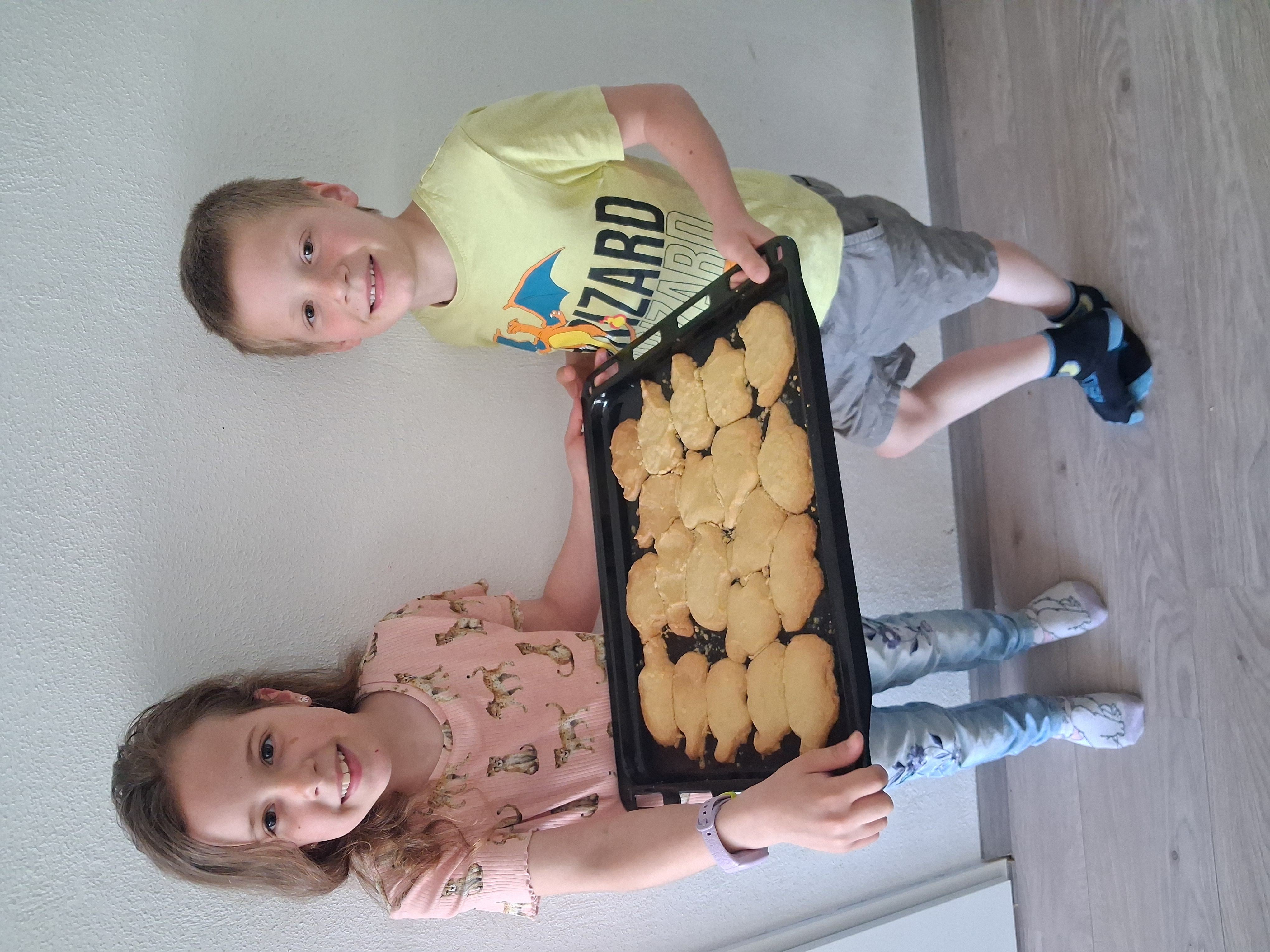 Olifantenkoekje