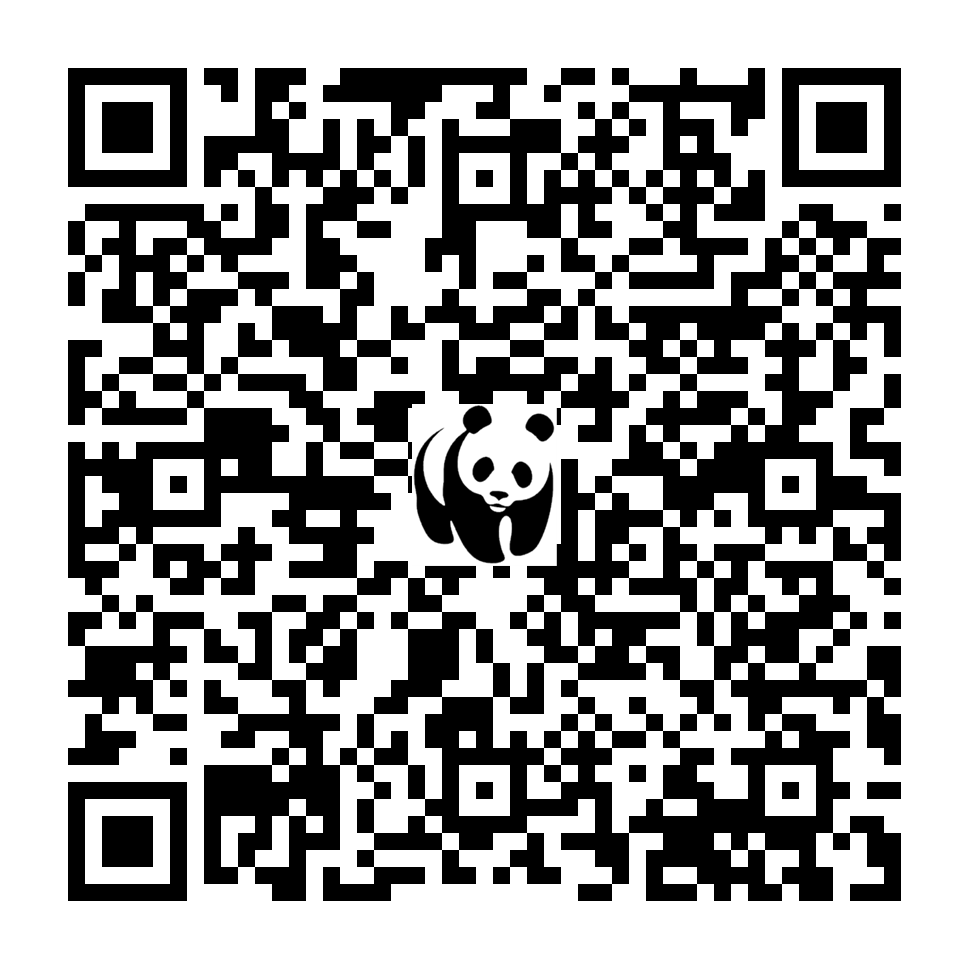 Scan deze QR-code om te doneren (vernieuw de pagina als je geen QR-code ziet)