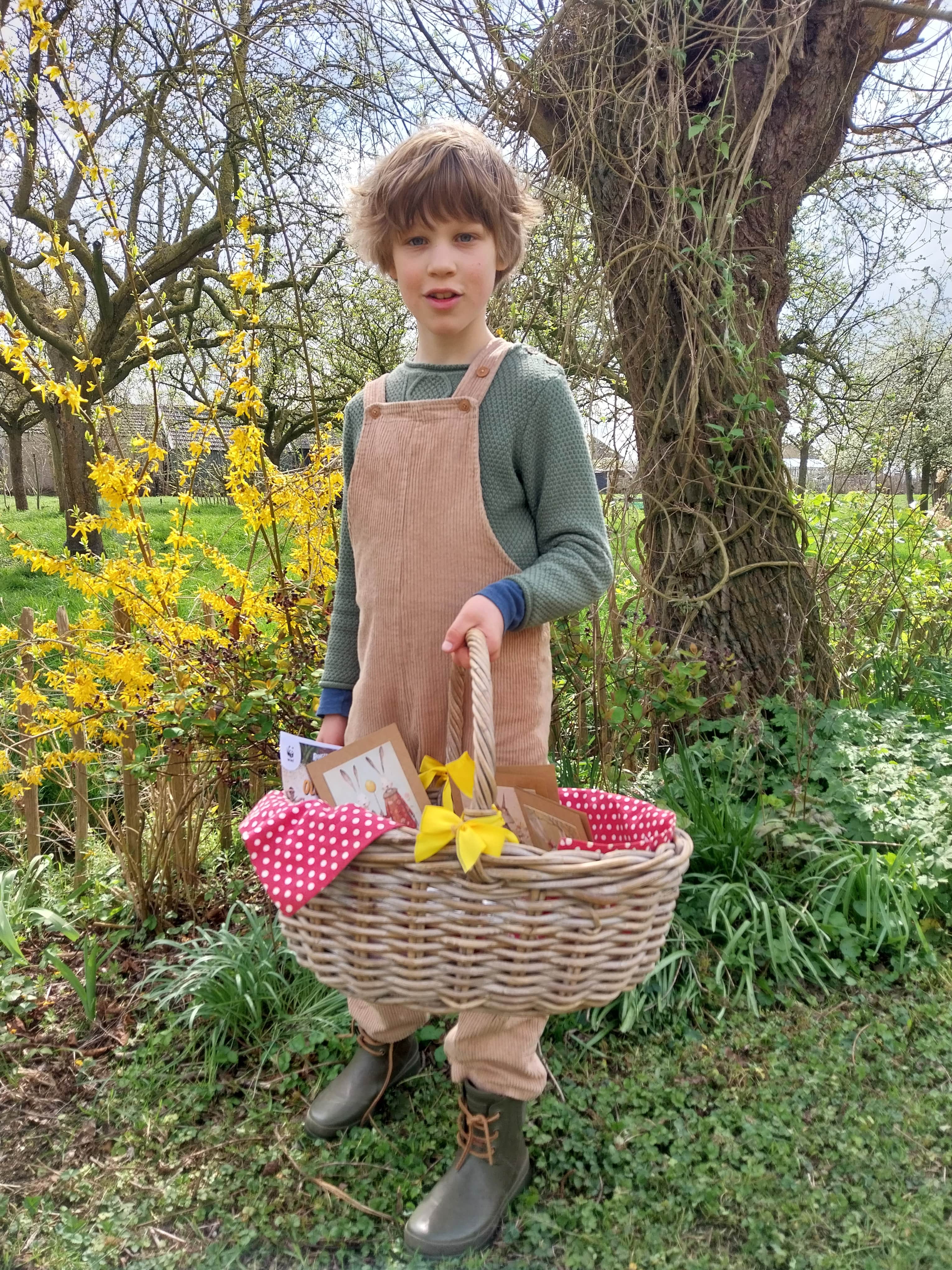 Koekjes voor de olifanten