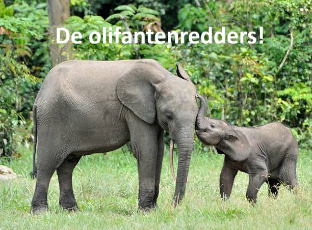 De Olifantenredders