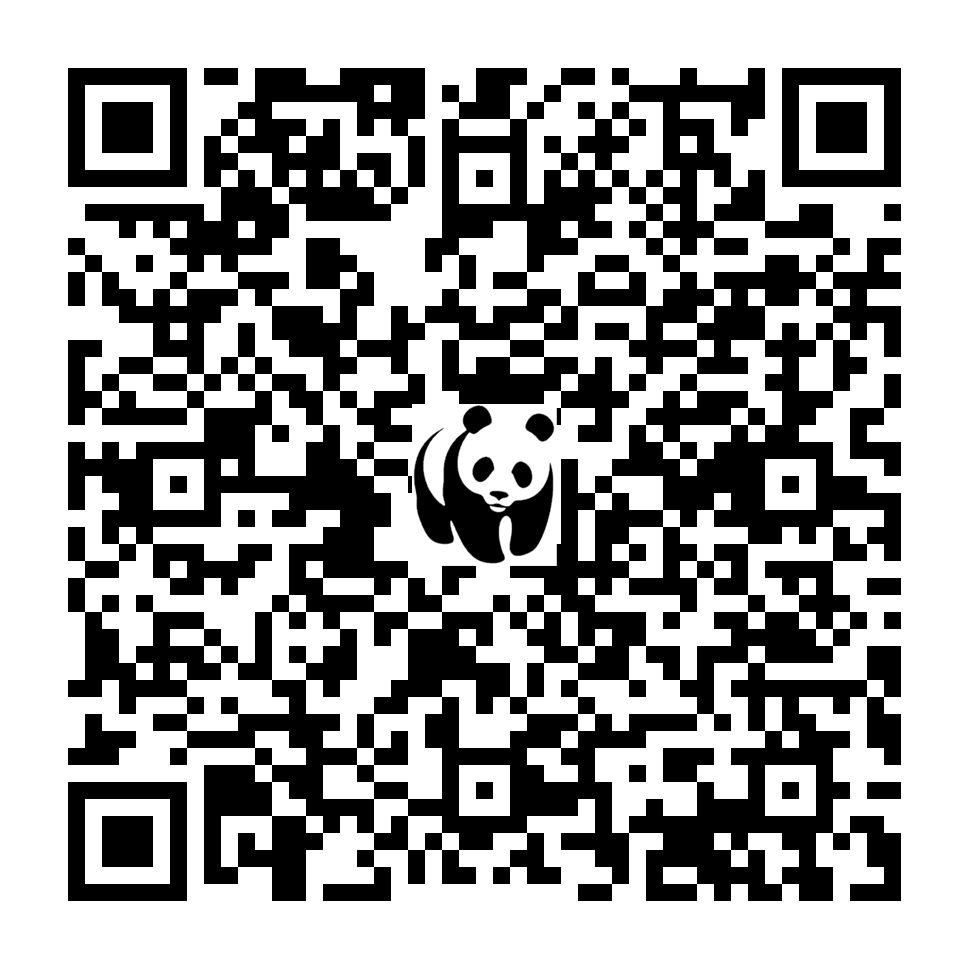 Scan deze QR-code om te doneren (vernieuw de pagina als je geen QR-code ziet)