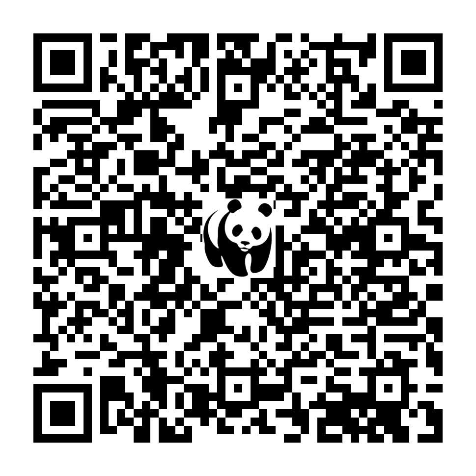 Scan deze QR-code om te doneren (vernieuw de pagina als je geen QR-code ziet)