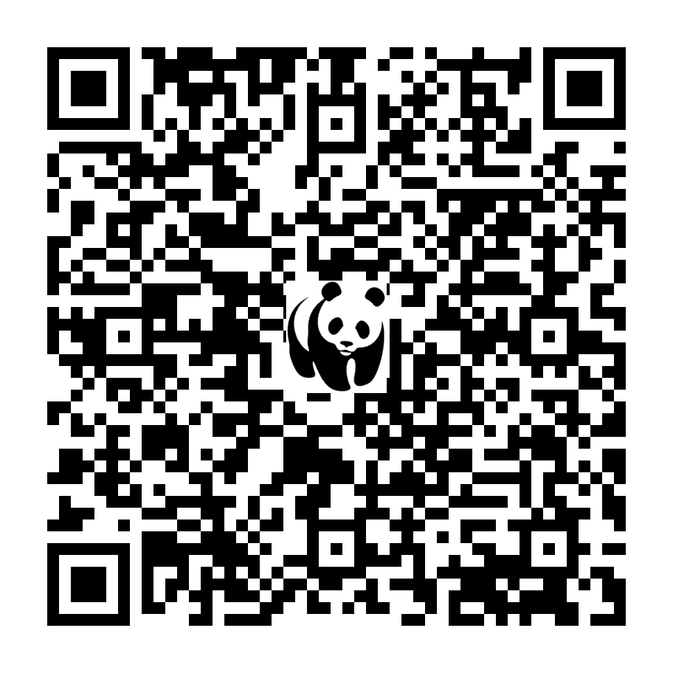 Scan deze QR-code om te doneren (vernieuw de pagina als je geen QR-code ziet)