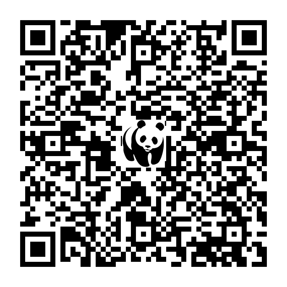 Scan deze QR-code om te doneren (vernieuw de pagina als je geen QR-code ziet)