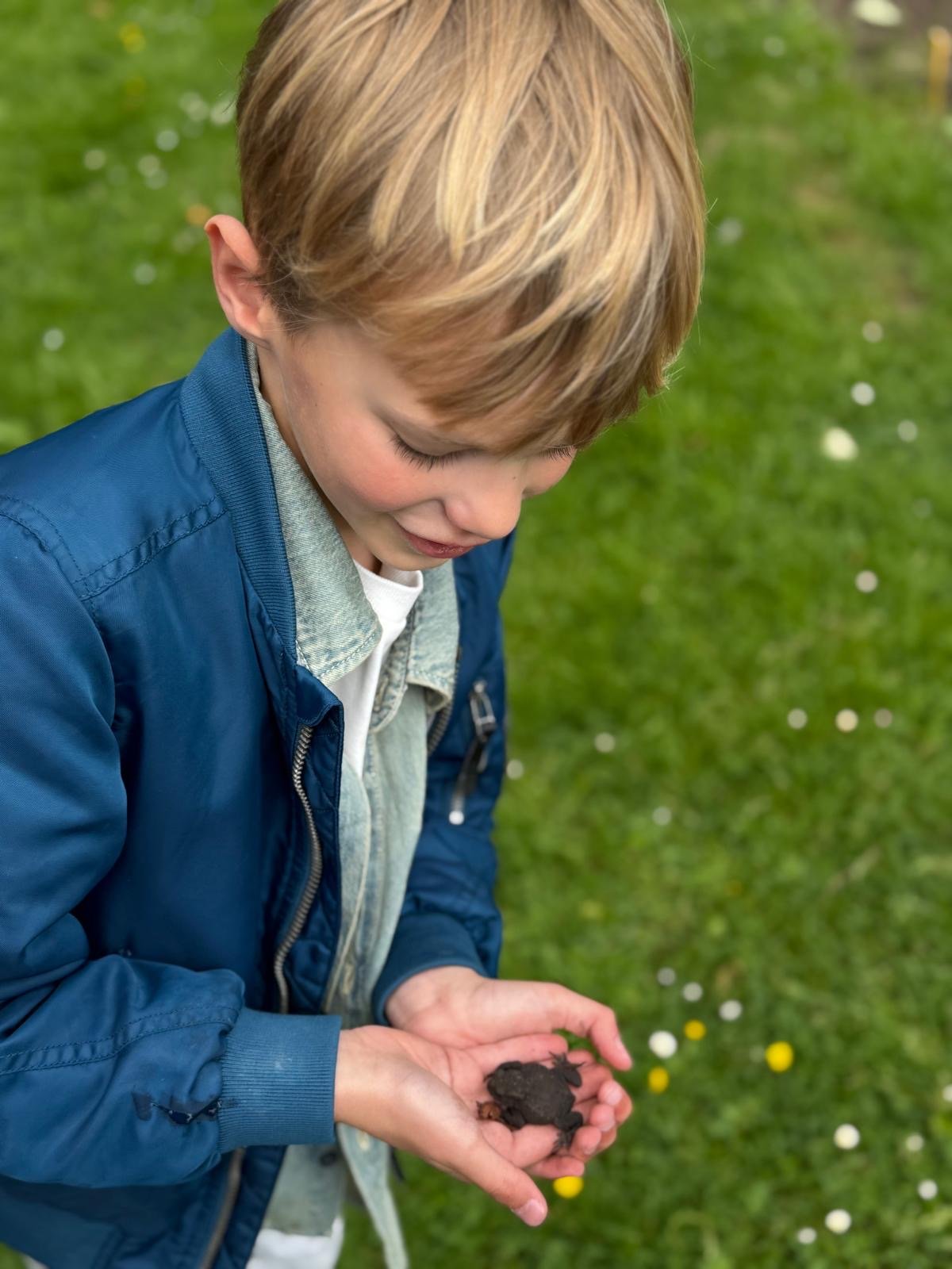 De schildpadden redders