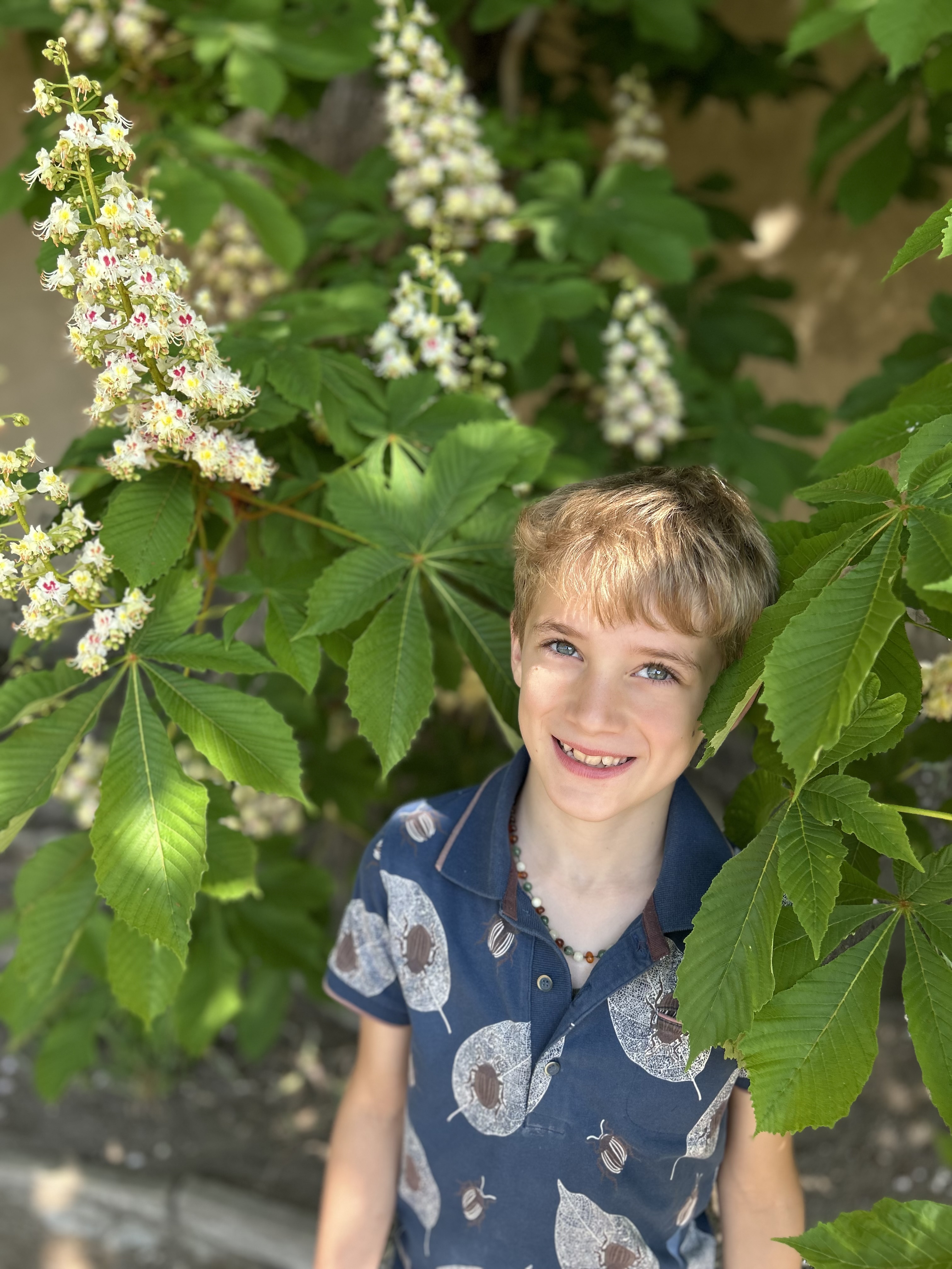 Seth voor schildpadjes