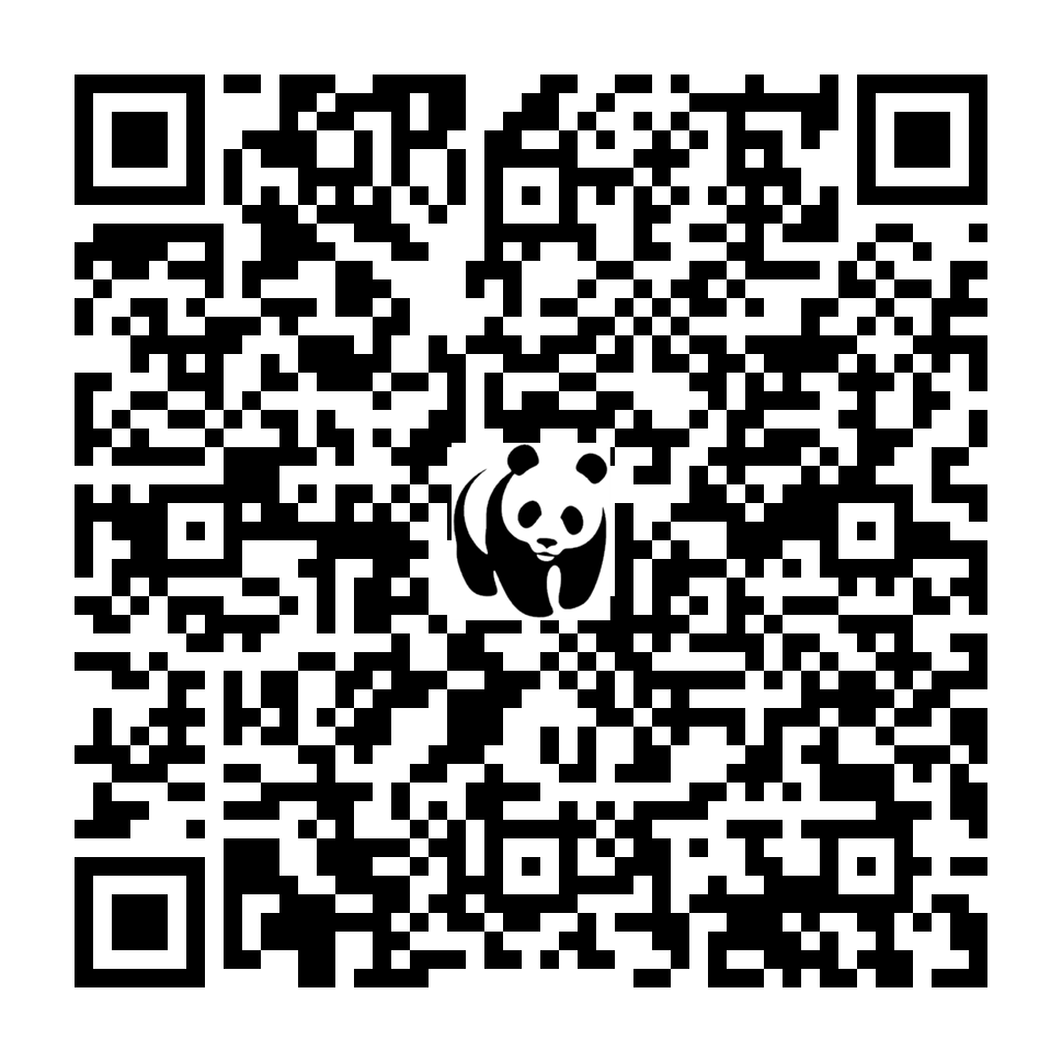 Scan deze QR-code om te doneren (vernieuw de pagina als je geen QR-code ziet)