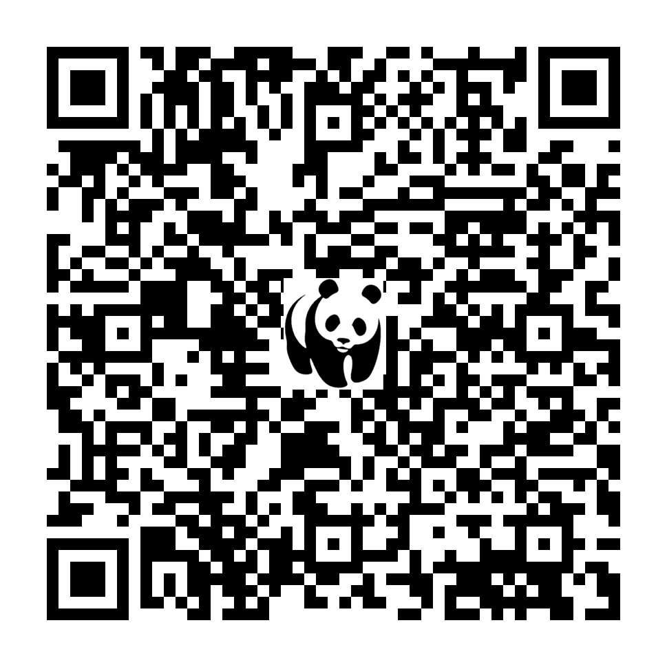 Scan deze QR-code om te doneren (vernieuw de pagina als je geen QR-code ziet)