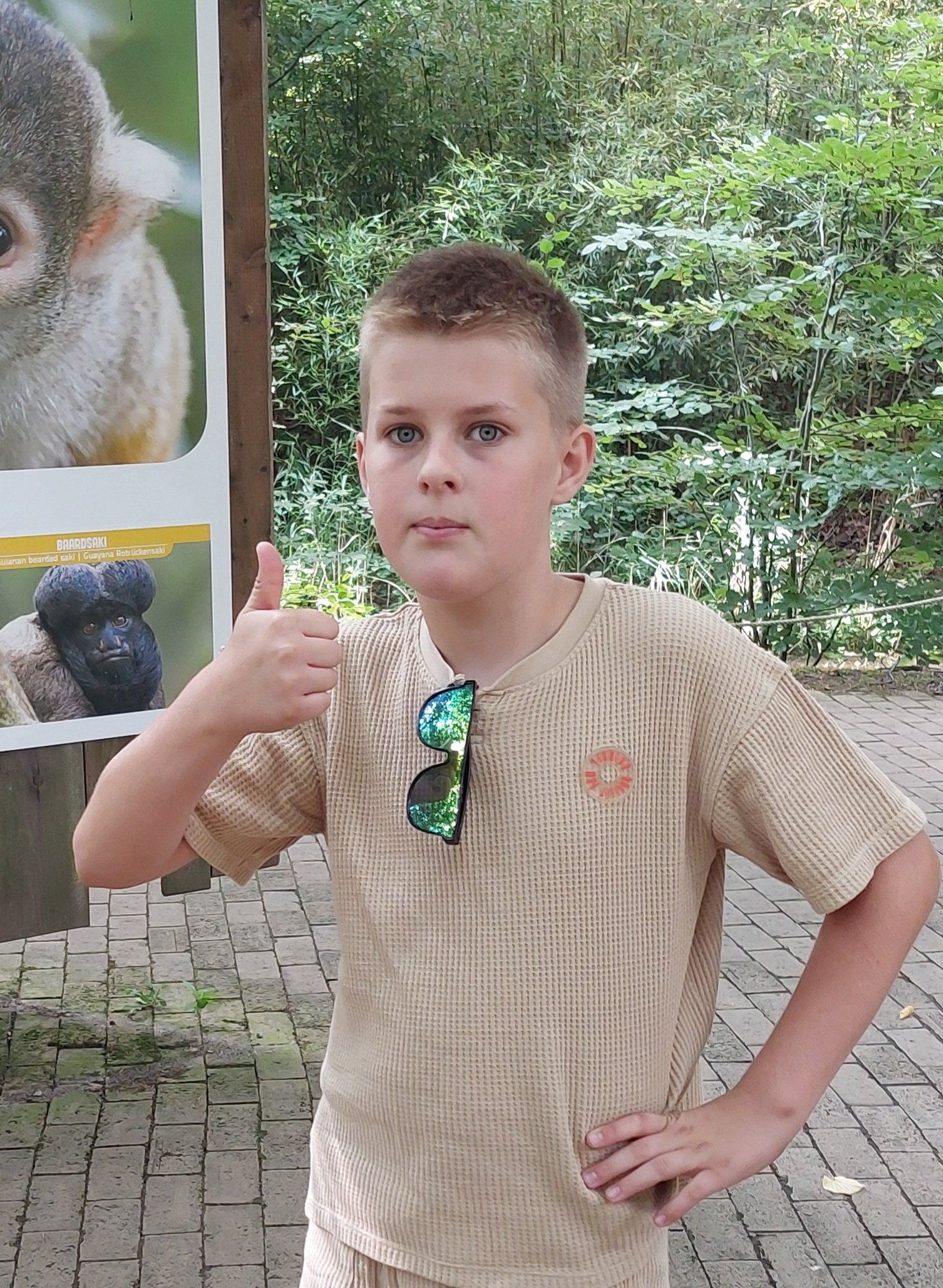 Expeditie red een olifant