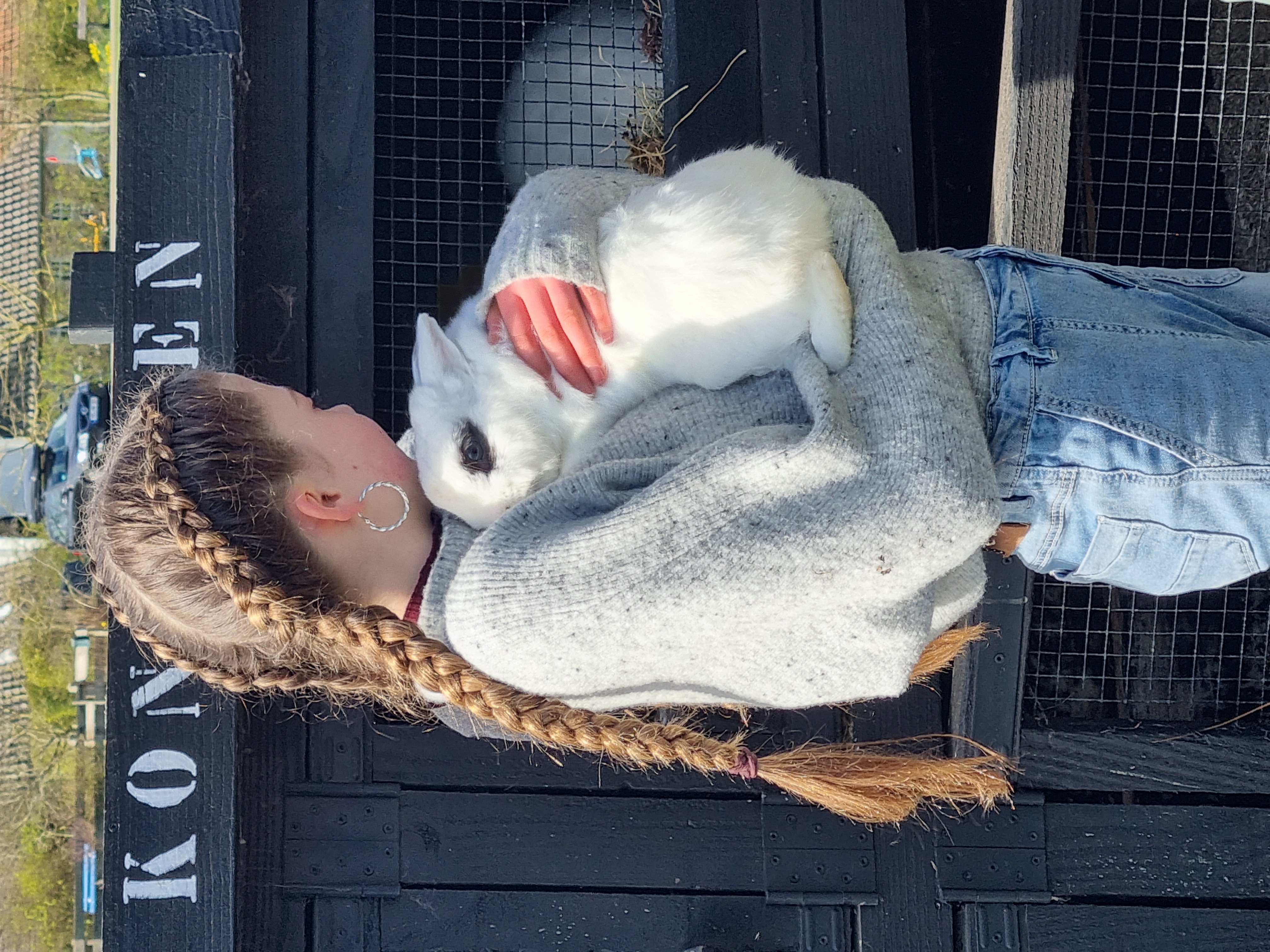 Ollie heeft hulp nodig 