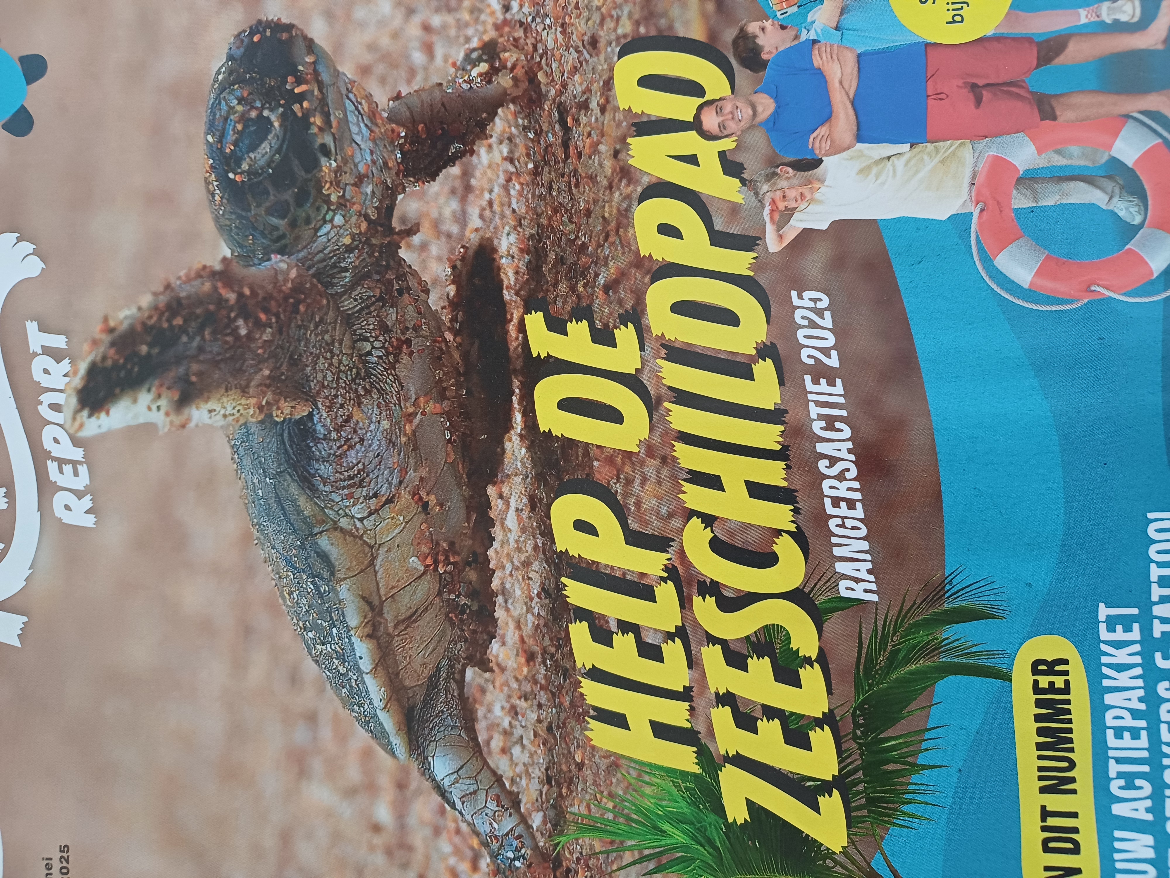 Red schildpad met yves 