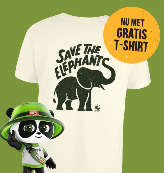 word ranger tshirt expeditieolifant.jpg
