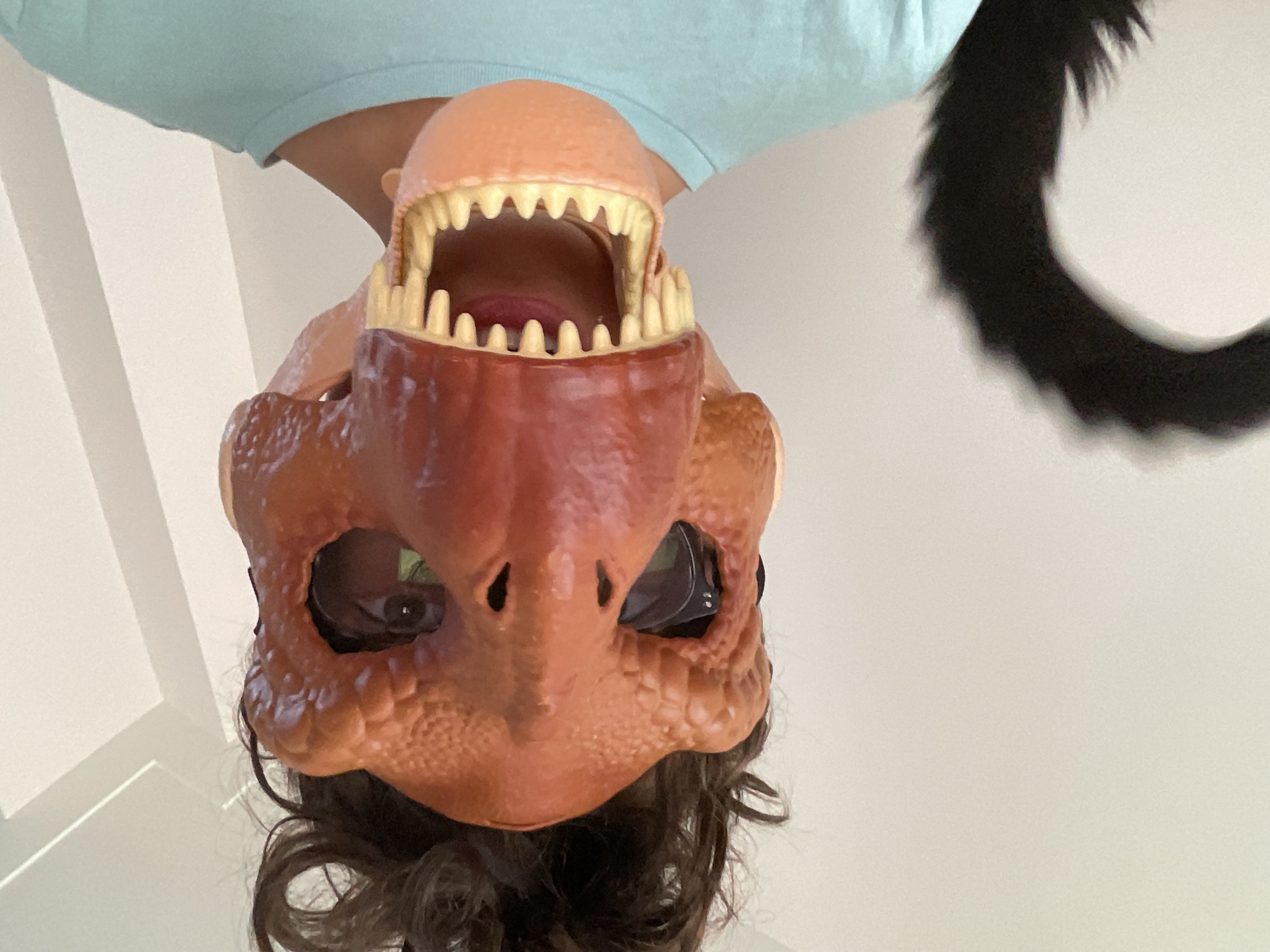 Pelle voor schildpadden