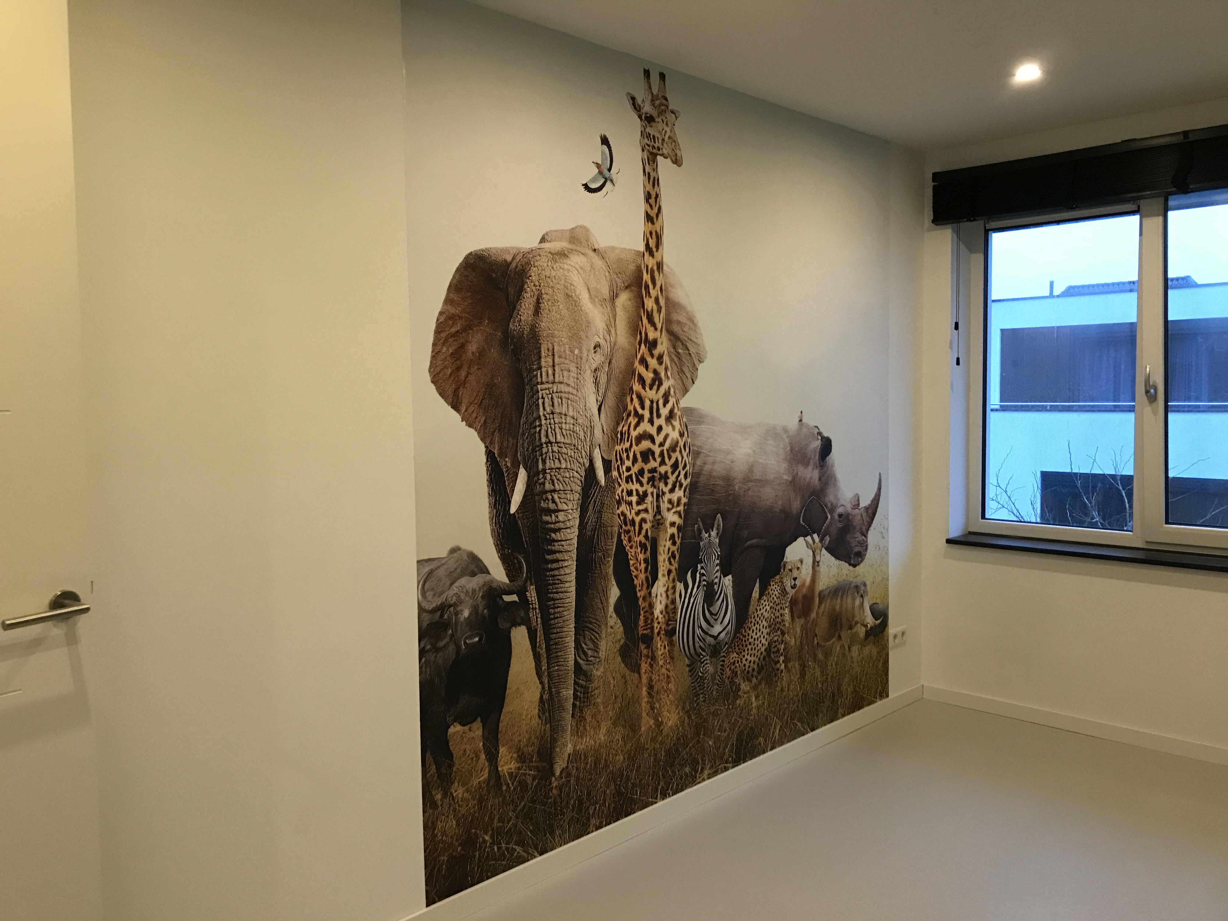 Japie voor de Olifant 