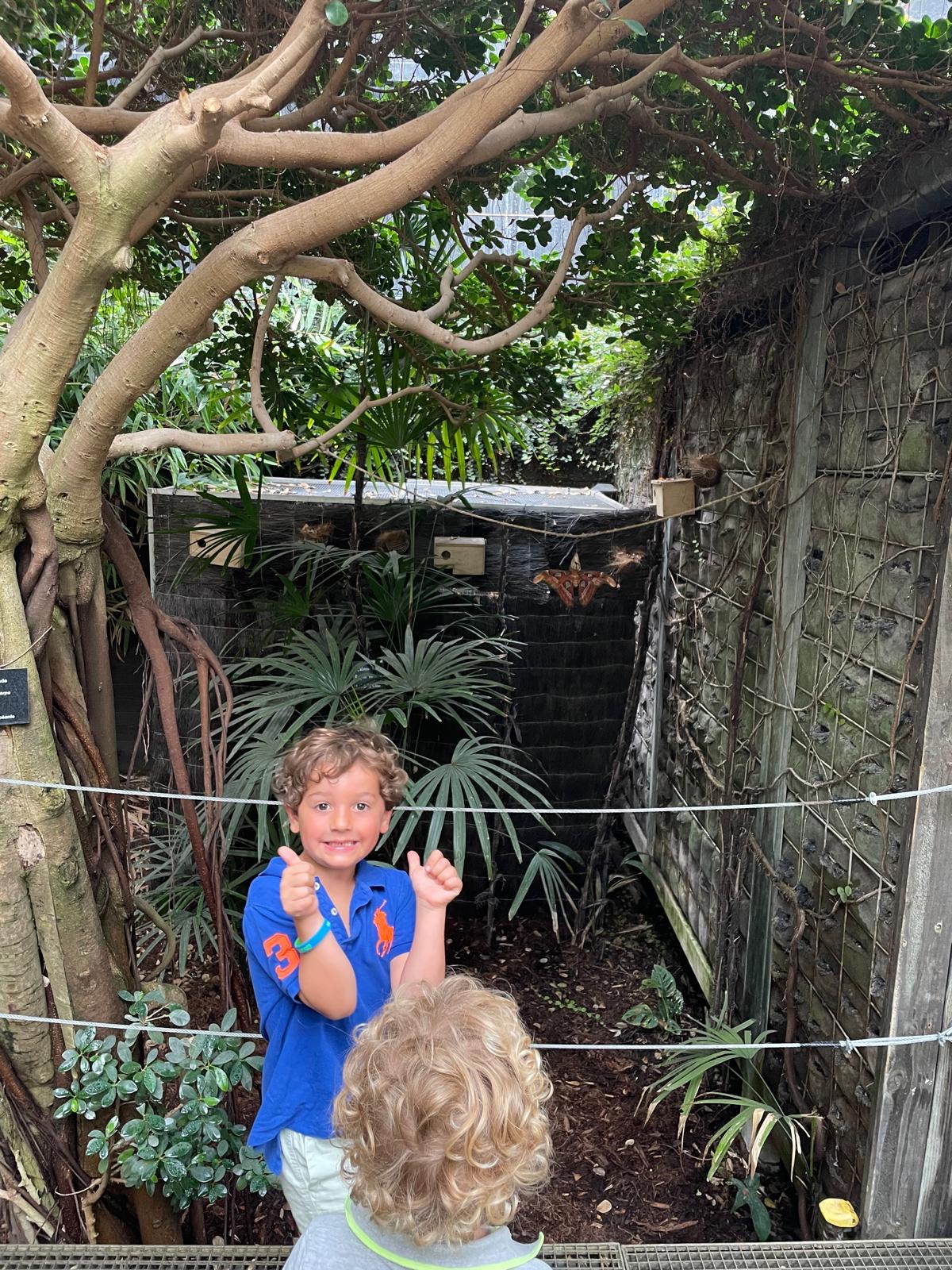 Willem voor de Bosolifant