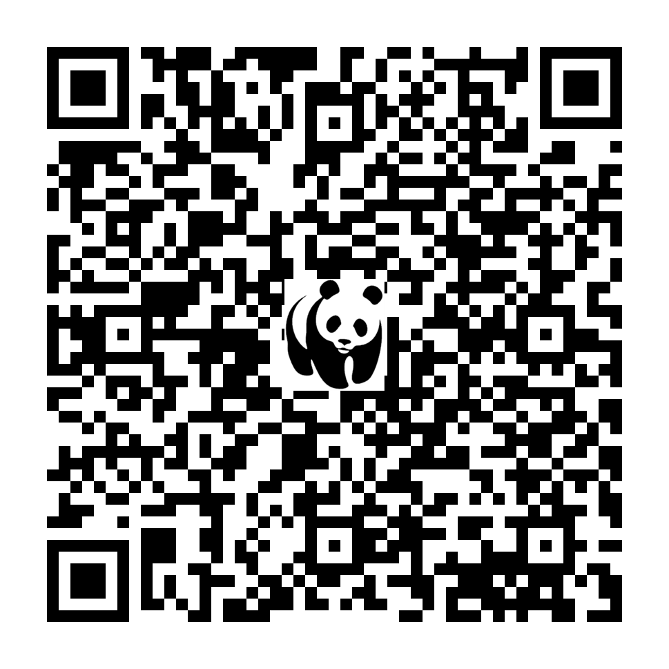 Scan deze QR-code om te doneren (vernieuw de pagina als je geen QR-code ziet)